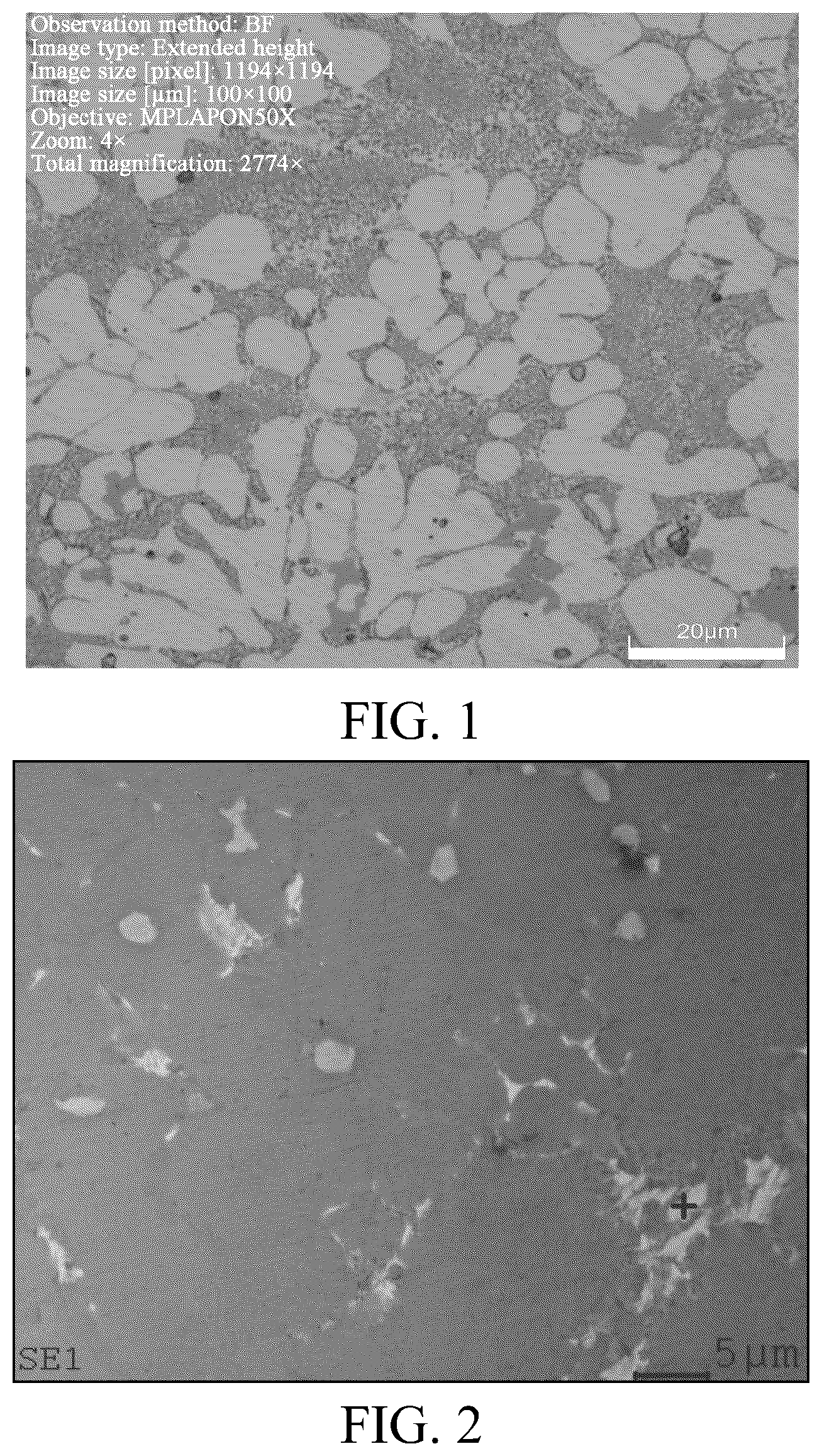 Patent US12448668 — Aluminum alloy and application thereof — Figure 1