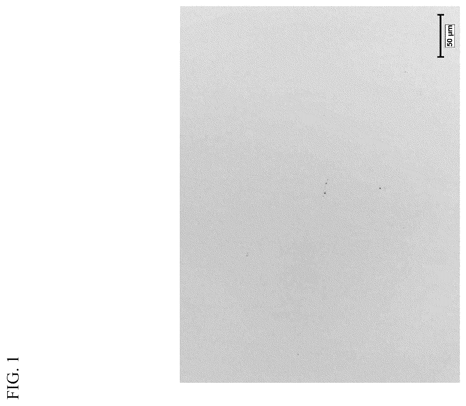 Patent US12448672 — Grain-oriented electrical steel sheet and method for producing same — Figure 1