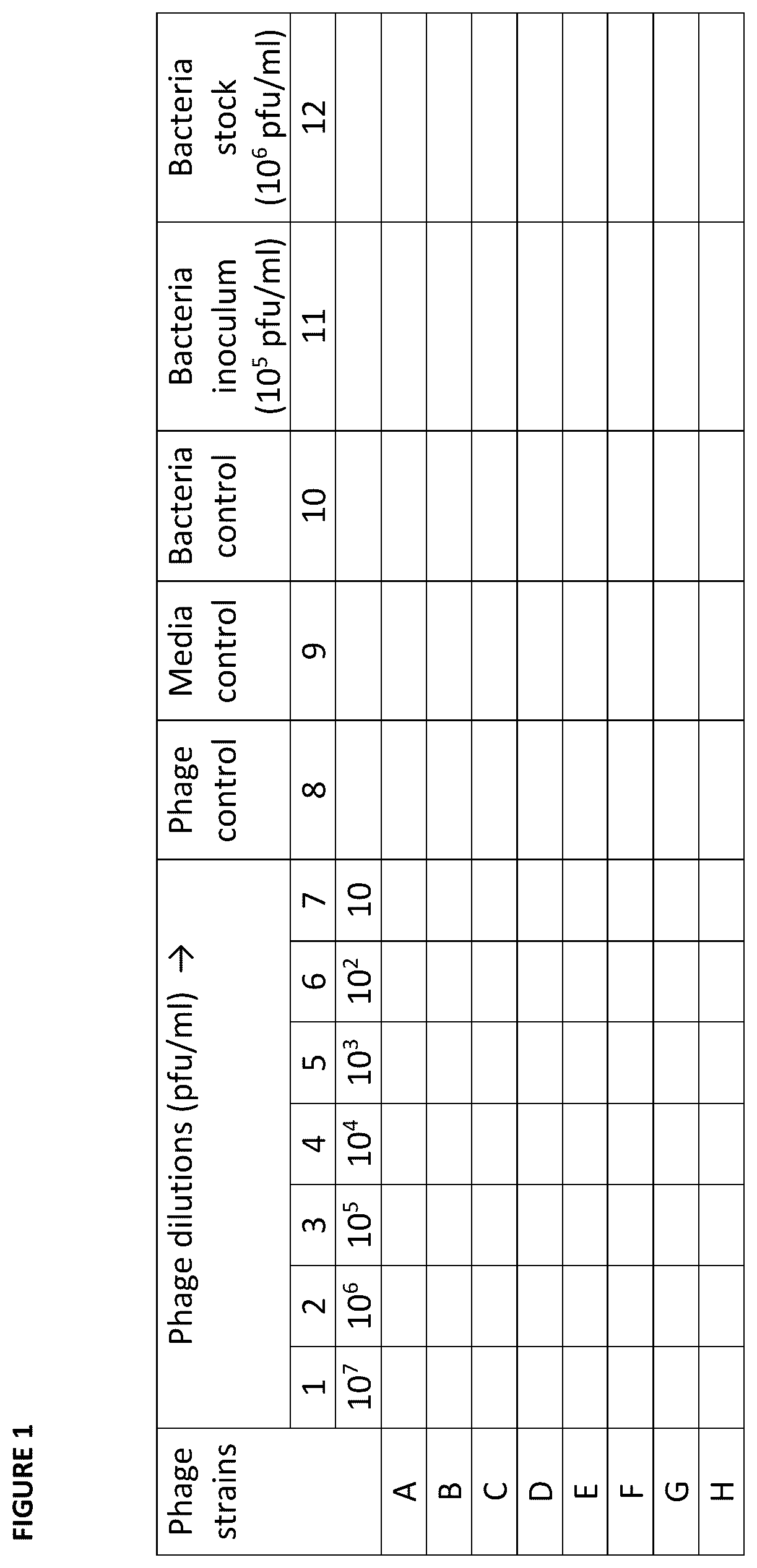 Patent US12448705 — Bacteriophage compositions and methods of selection of components against specific bacteria — Figure 1
