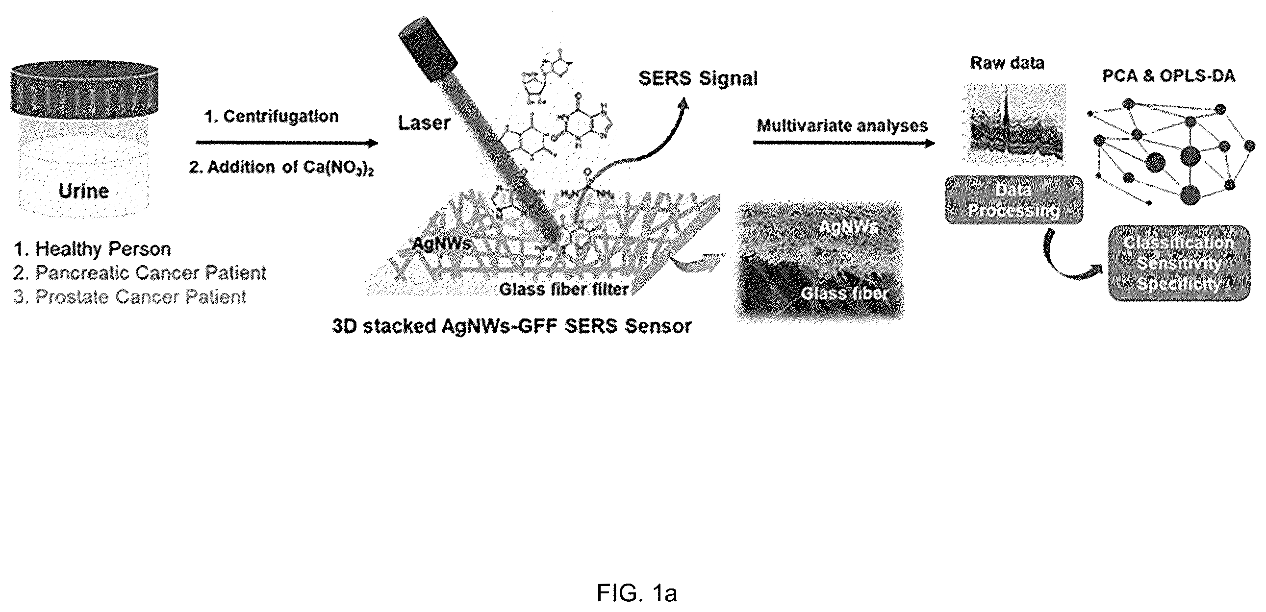 Patent US12455245 Figure 1 – Cancer diagnosis using raman signal of urine