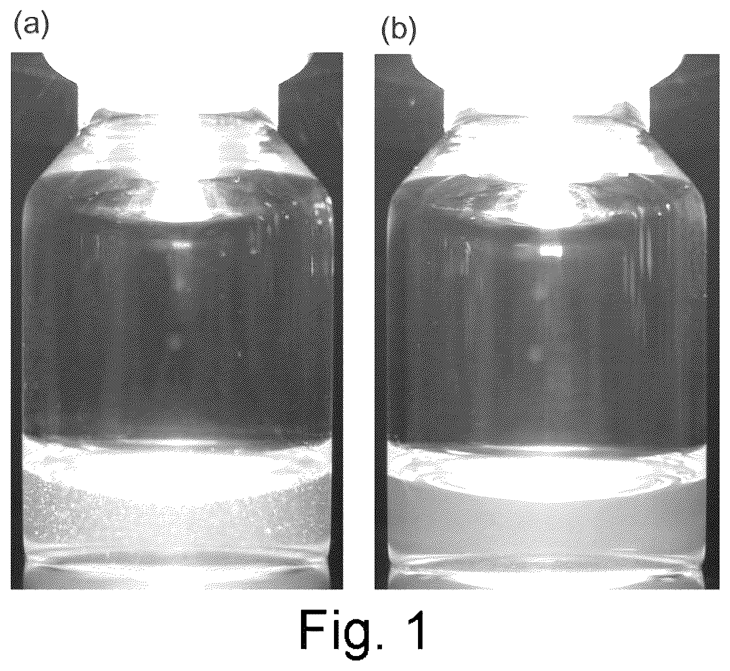Patent US12460014 — Antibody-containing preparation — Figure 1