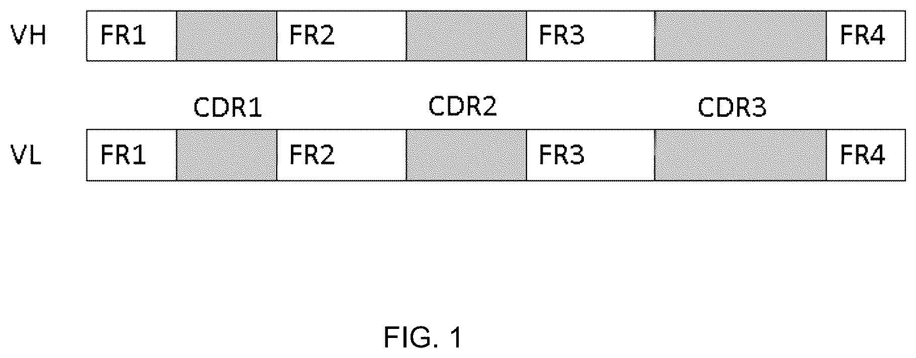 Patent US12460018 — System for generating immunoglobulin scaffolds for grafting non-human CDR amino acid sequences — Figure 1