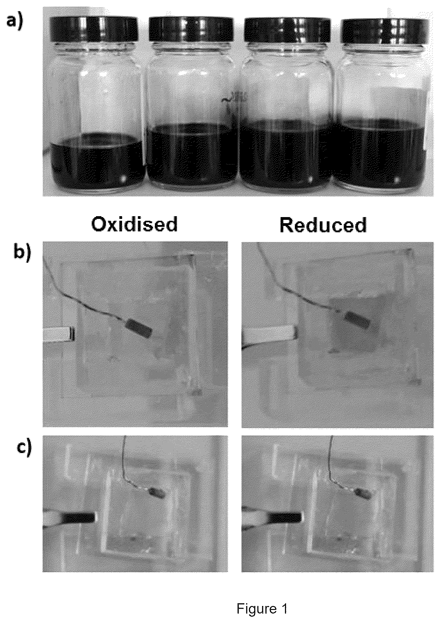 Patent US12460038 Figure 1 – Polymers and the use thereof for detecting ion fluxes