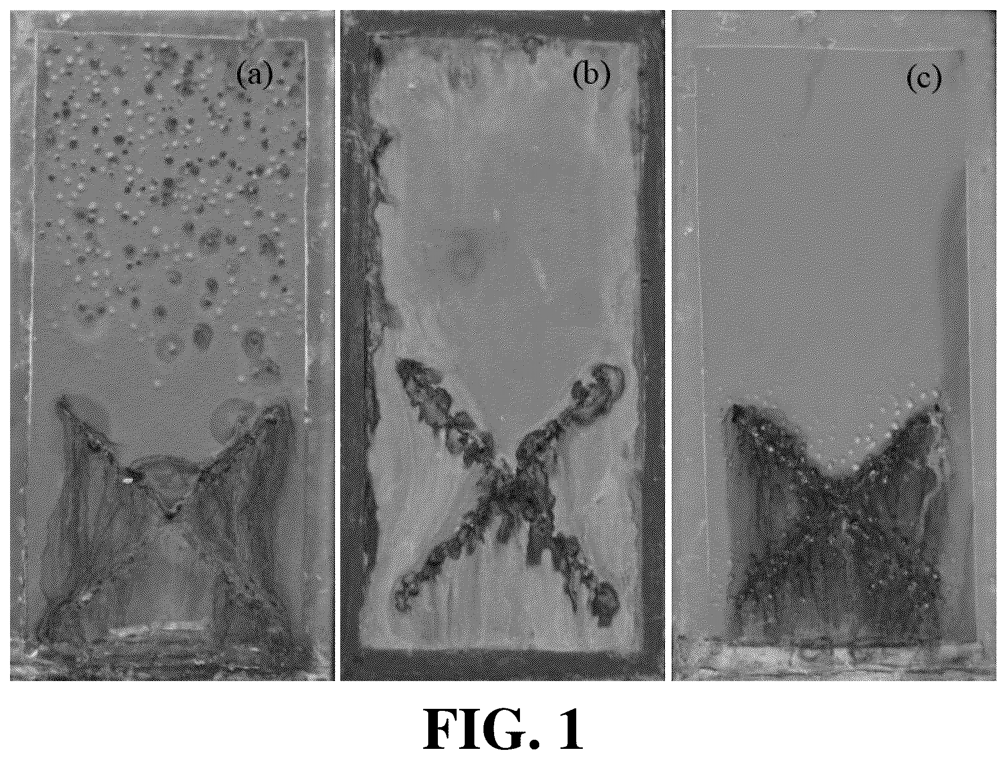 Patent US12460090 Figure 1 – Protective coating layer, and preparation method and use thereof