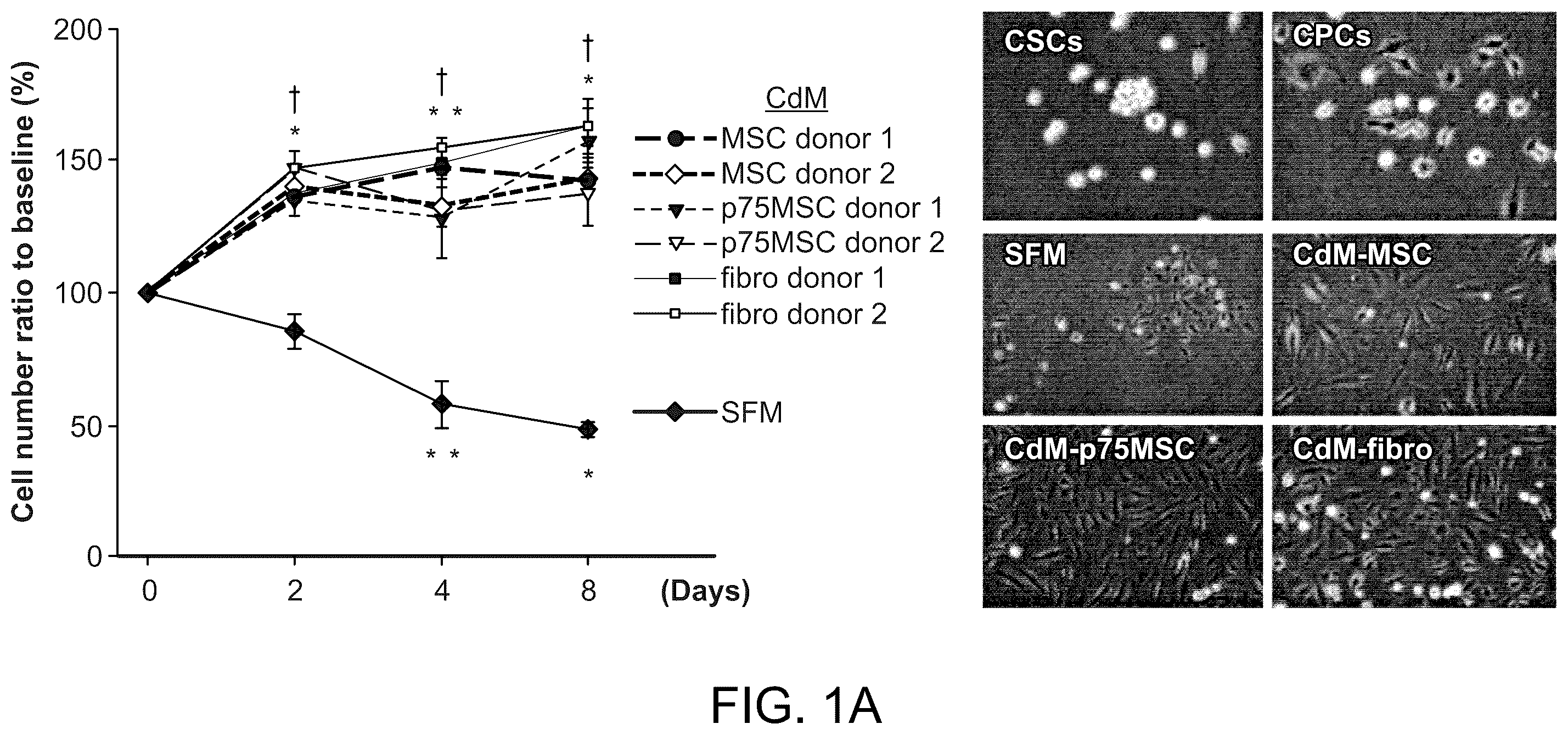 Patent US12460184 — Cell primed with CTGF-D4 and insulin or IGF-1 and use in methods for cardiac tissue repair — Figure 1