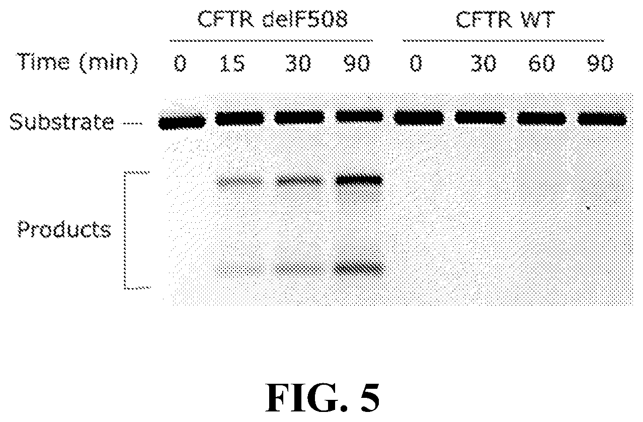 Patent US12460192 Figure 5 – Lipid-encapsulated dual-cleaving endonuclease for DNA and gene editing