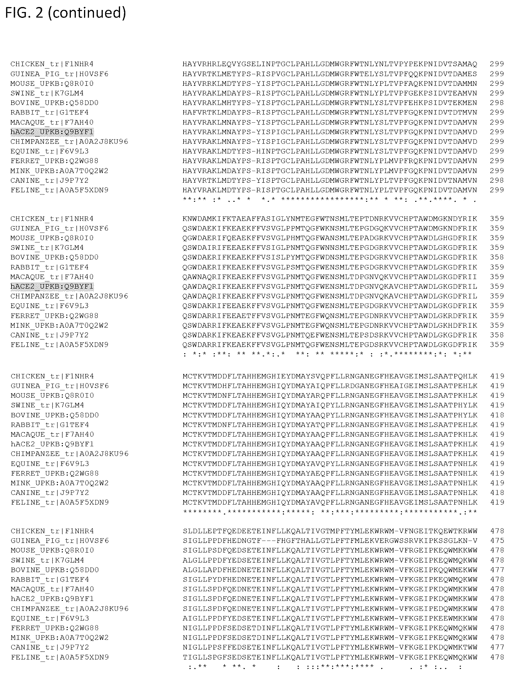 Patent US12460193 Figure 3 – Compositions for preventing or treating coronavirus infections