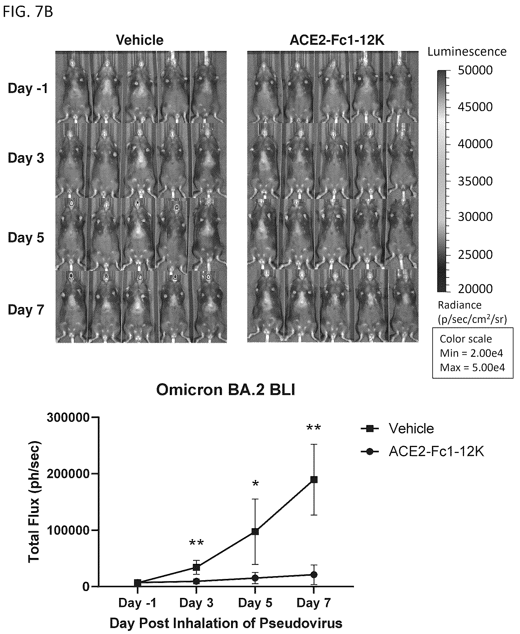 Patent US12460193 Figure 12 – Compositions for preventing or treating coronavirus infections