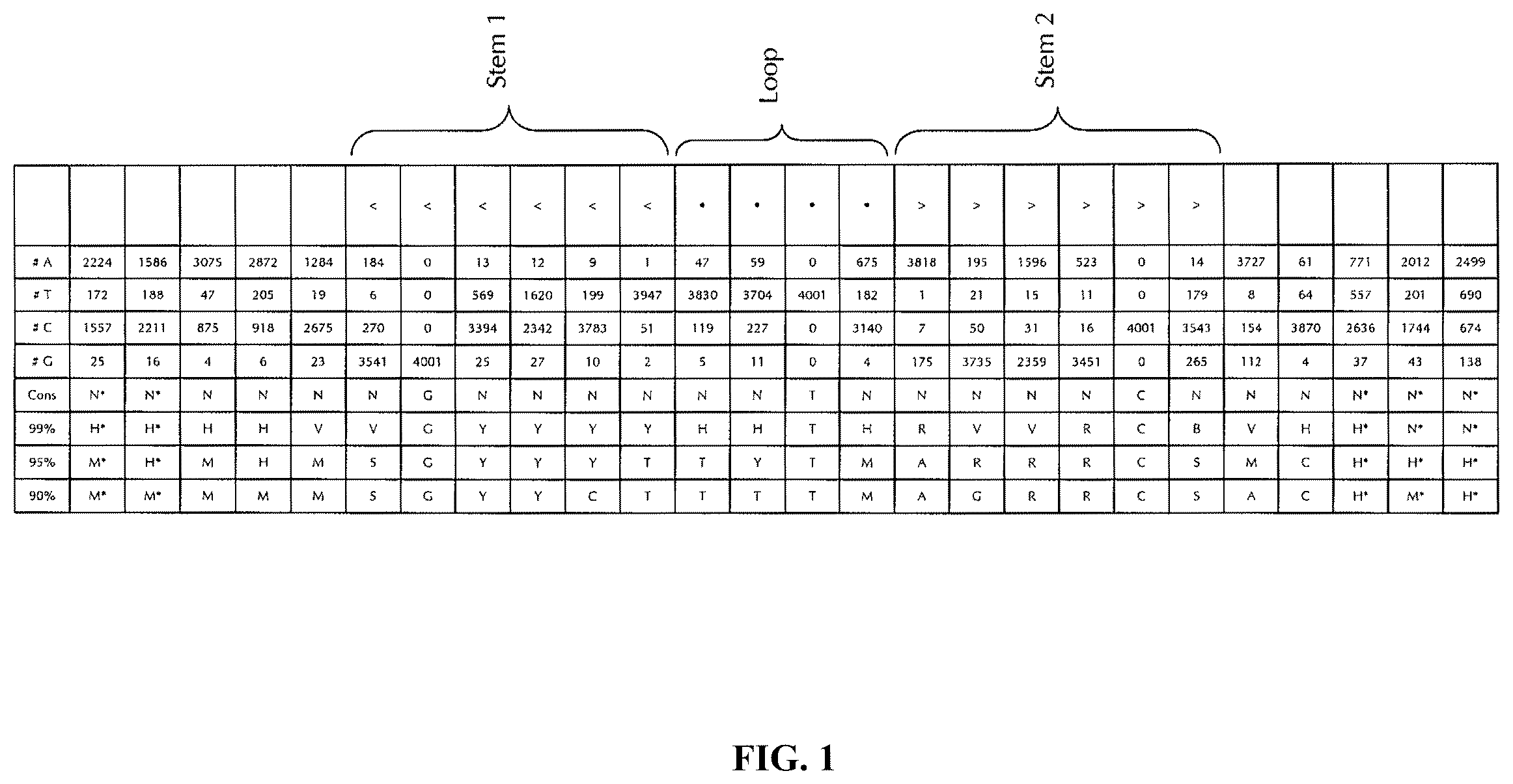 Patent US12460204 — Artificial nucleic acid molecules for improved protein or peptide expression — Figure 1