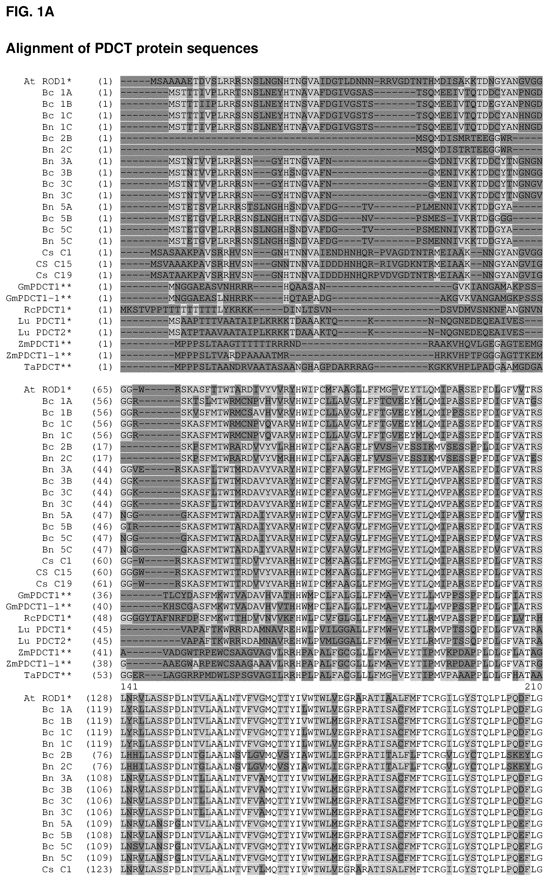 Patent US12460221 — Method for the production of high levels of PUFA in plants — Figure 1