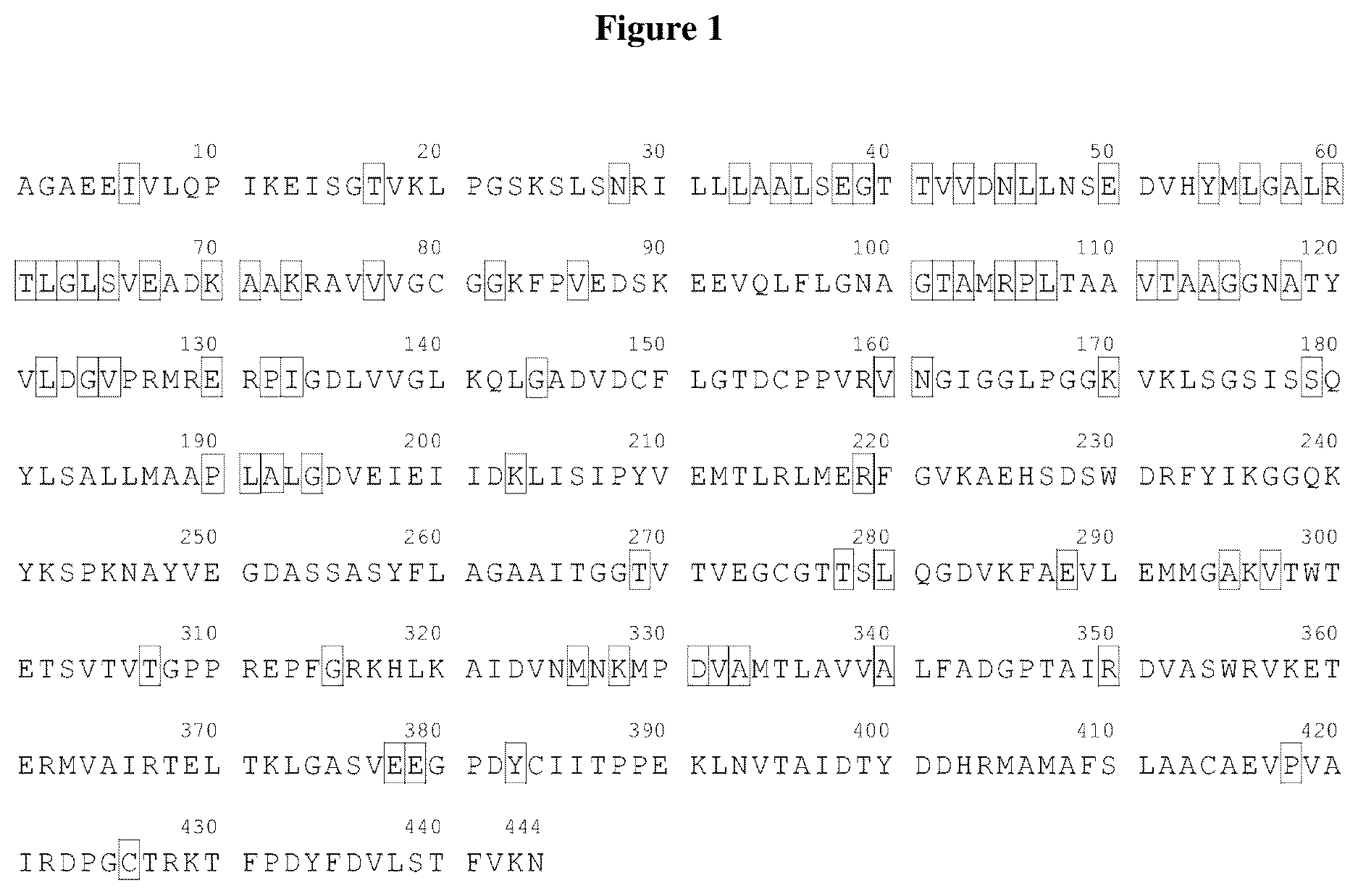 Patent US12460222 Figure 1 – Methods and compositions for herbicide tolerance in plants