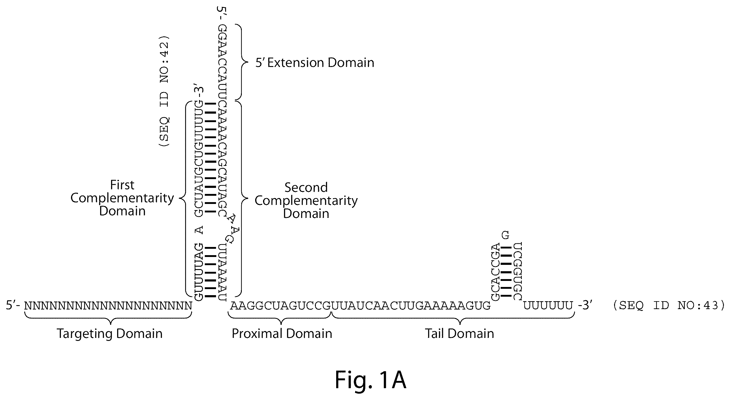 Patent US12460231 — Crispr/CAS-related methods and compositions for treating primary open angle glaucoma — Figure 1