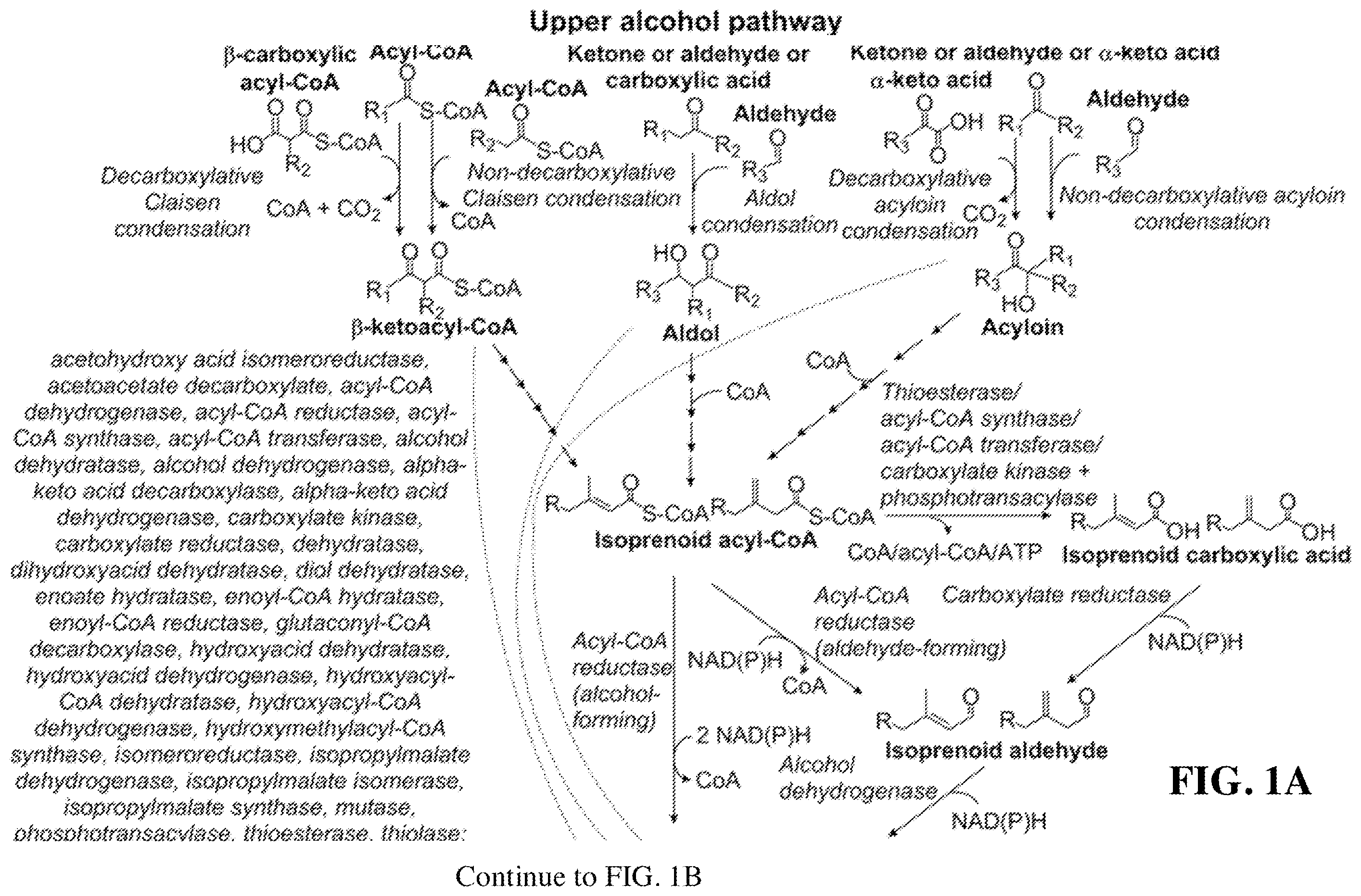 Patent US12460234 — Synthesis of isoprenoids and derivatives — Figure 1