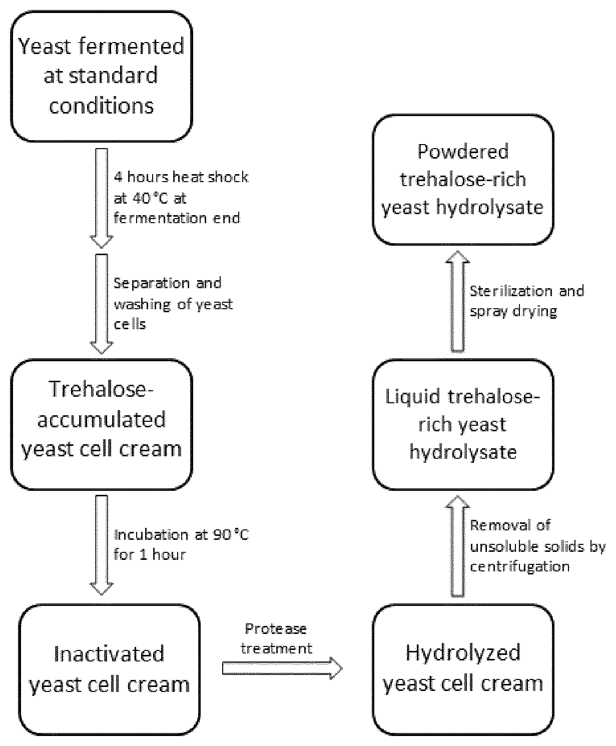 Patent US12460237 — Trehalose-rich yeast extract — Figure 1