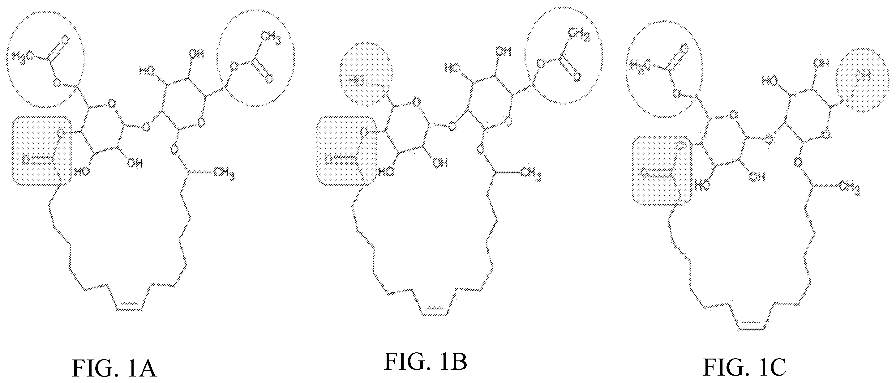 Patent US12460238 — Methods of producing compositions comprising hydrophilic sophorolipids — Figure 1