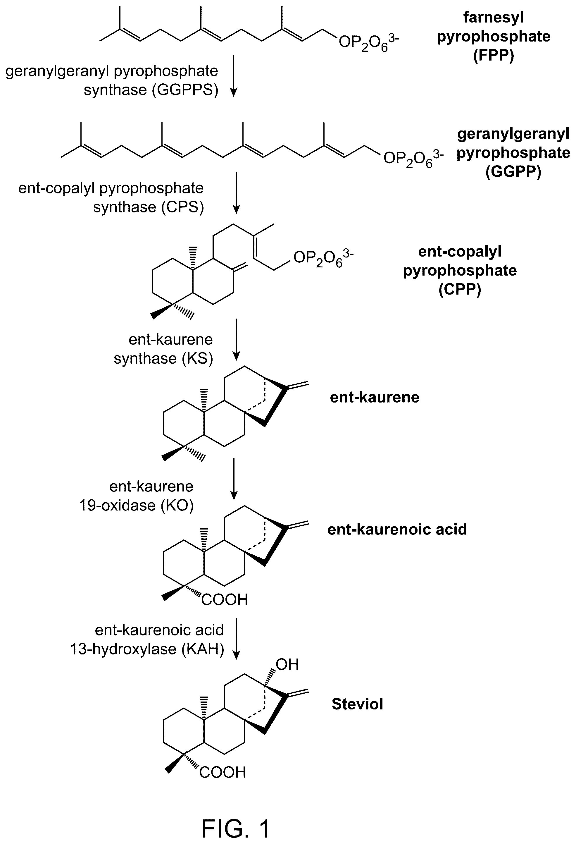 Patent US12460239 Figure 1 – UDP-glycosyltransferase variants and uses thereof