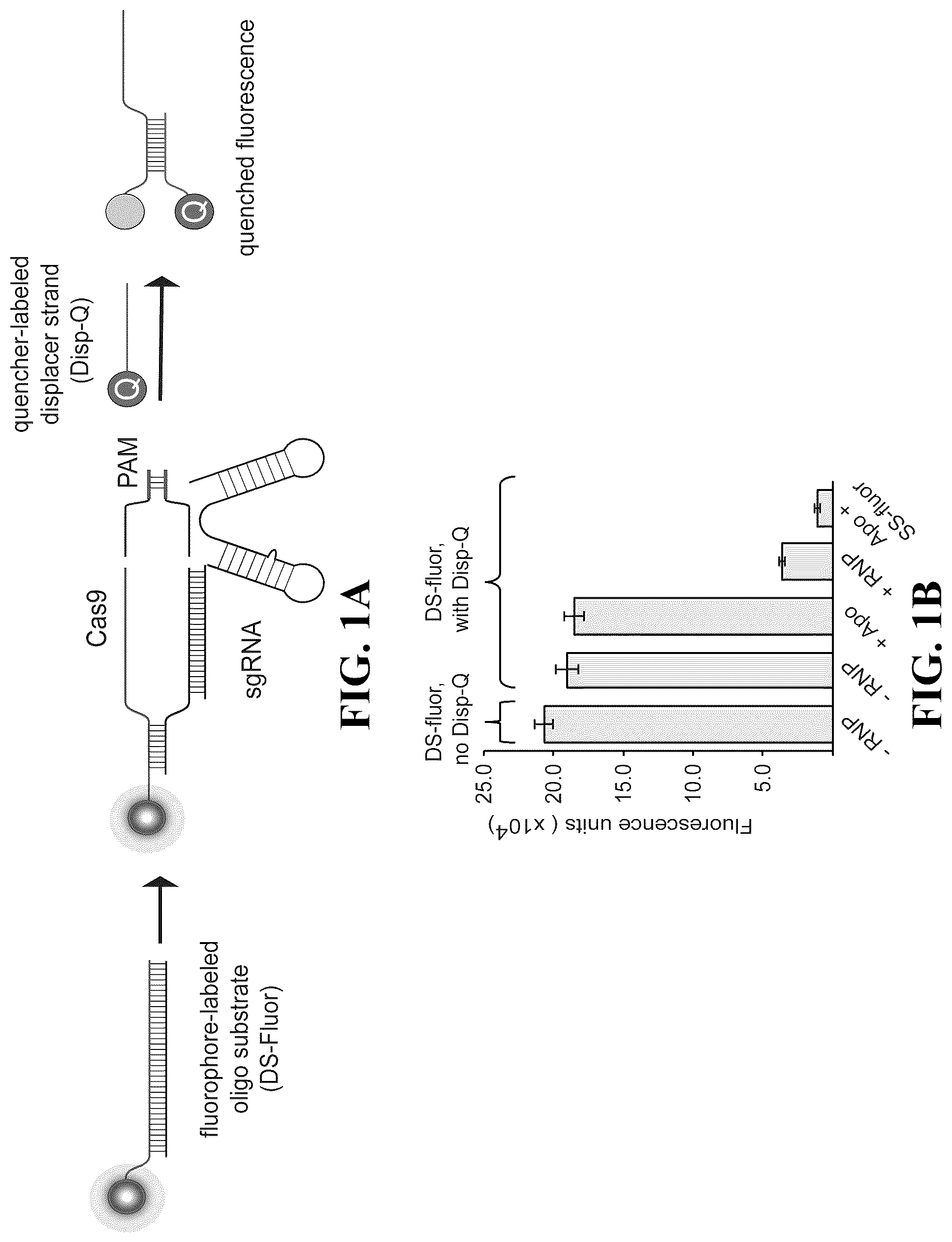 Patent US12460244 Figure 1 – Inhibitors of RNA-guided nuclease activity and uses thereof