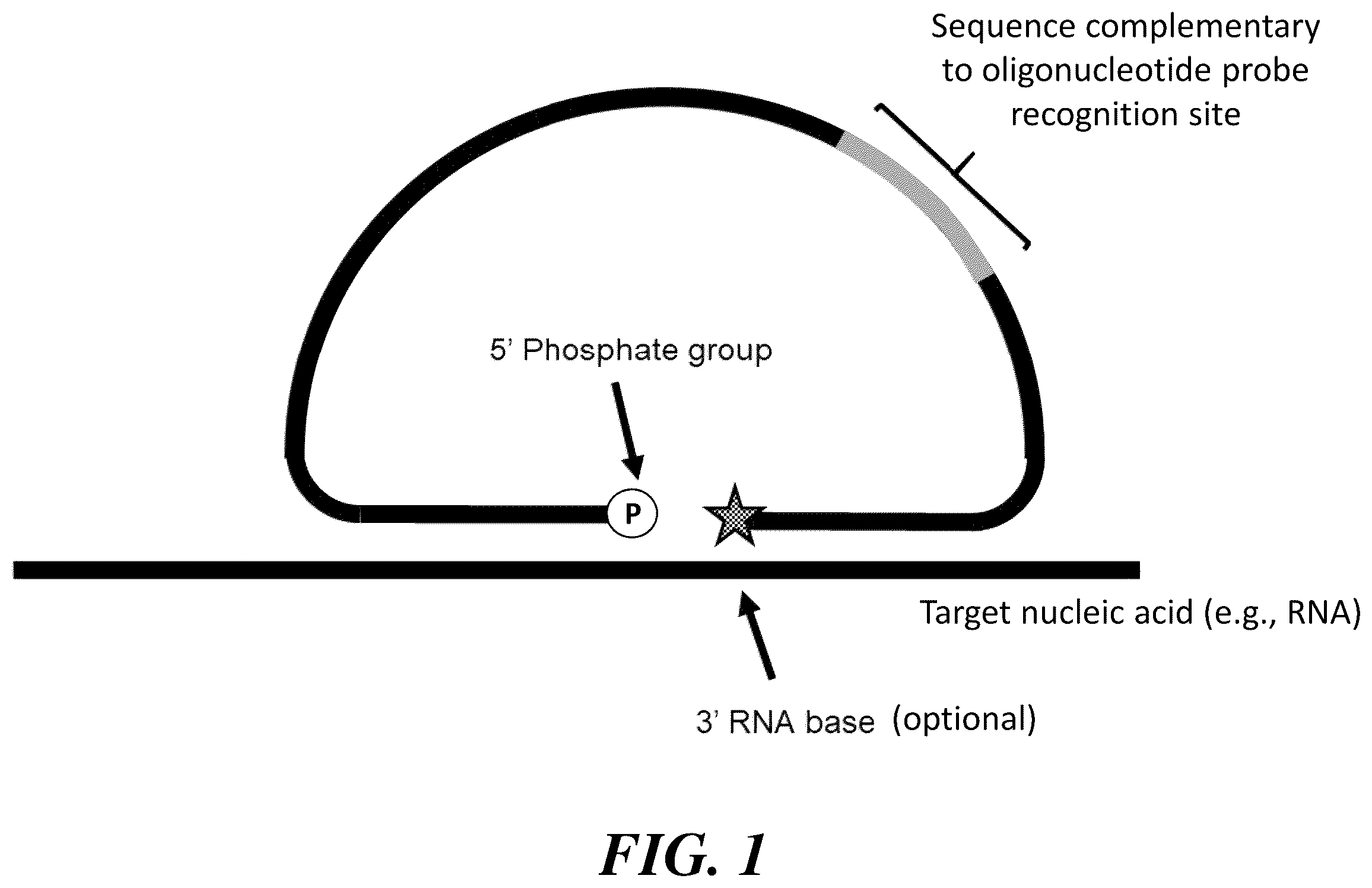 Patent US12460251 — Stabilization and/or compaction of nucleic acid molecules — Figure 1