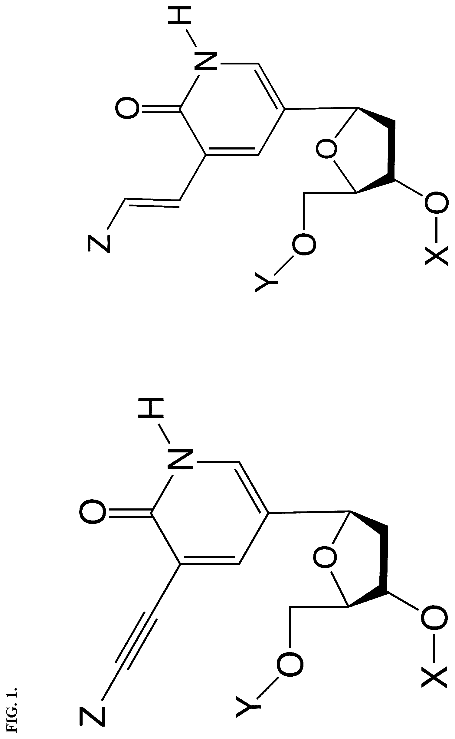 Patent US12460256 — Nucleotide analogs for efficient DNA and RNA amplification — Figure 1