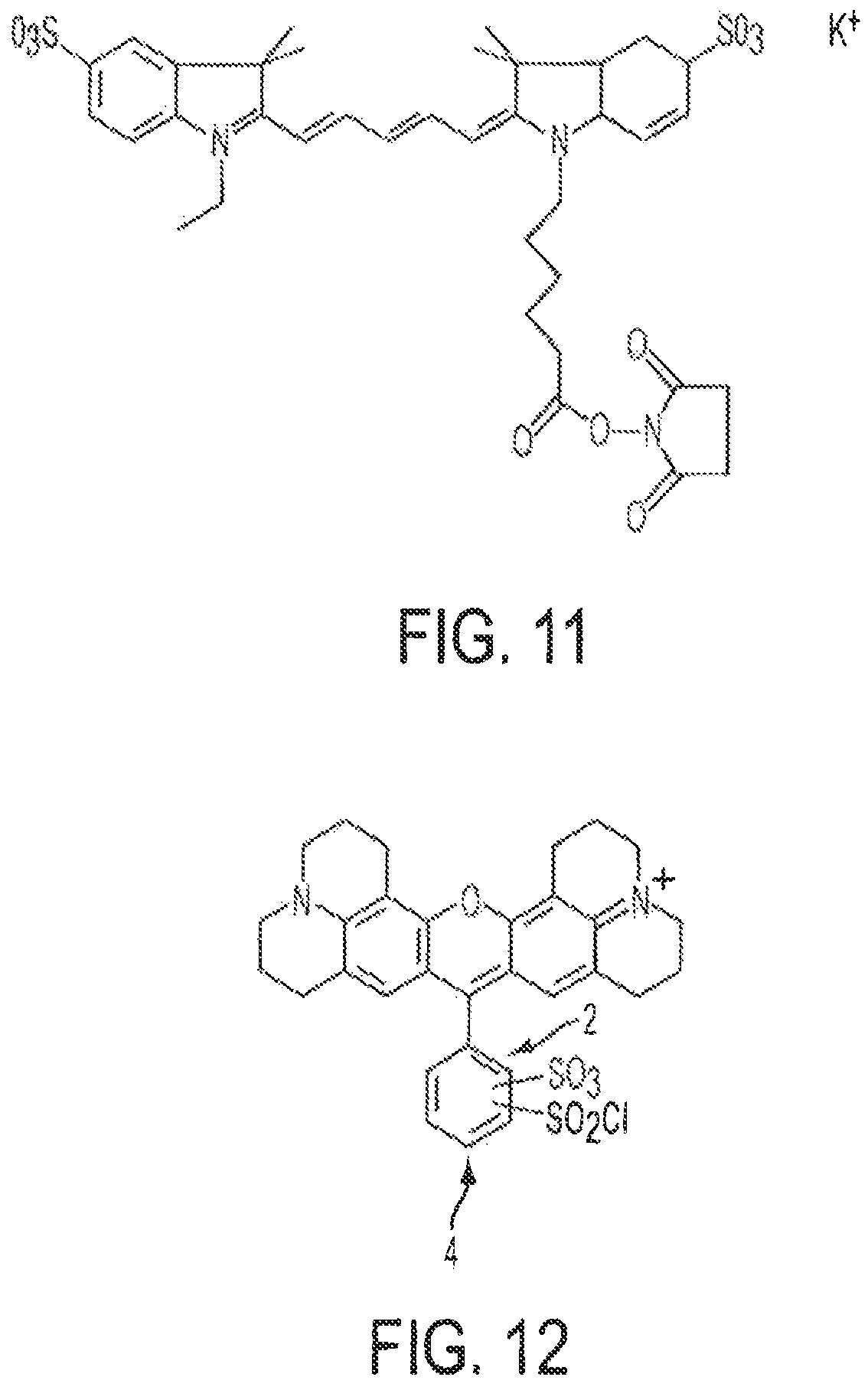 Patent US12460268 Figure 13 – Assays for fungal infection