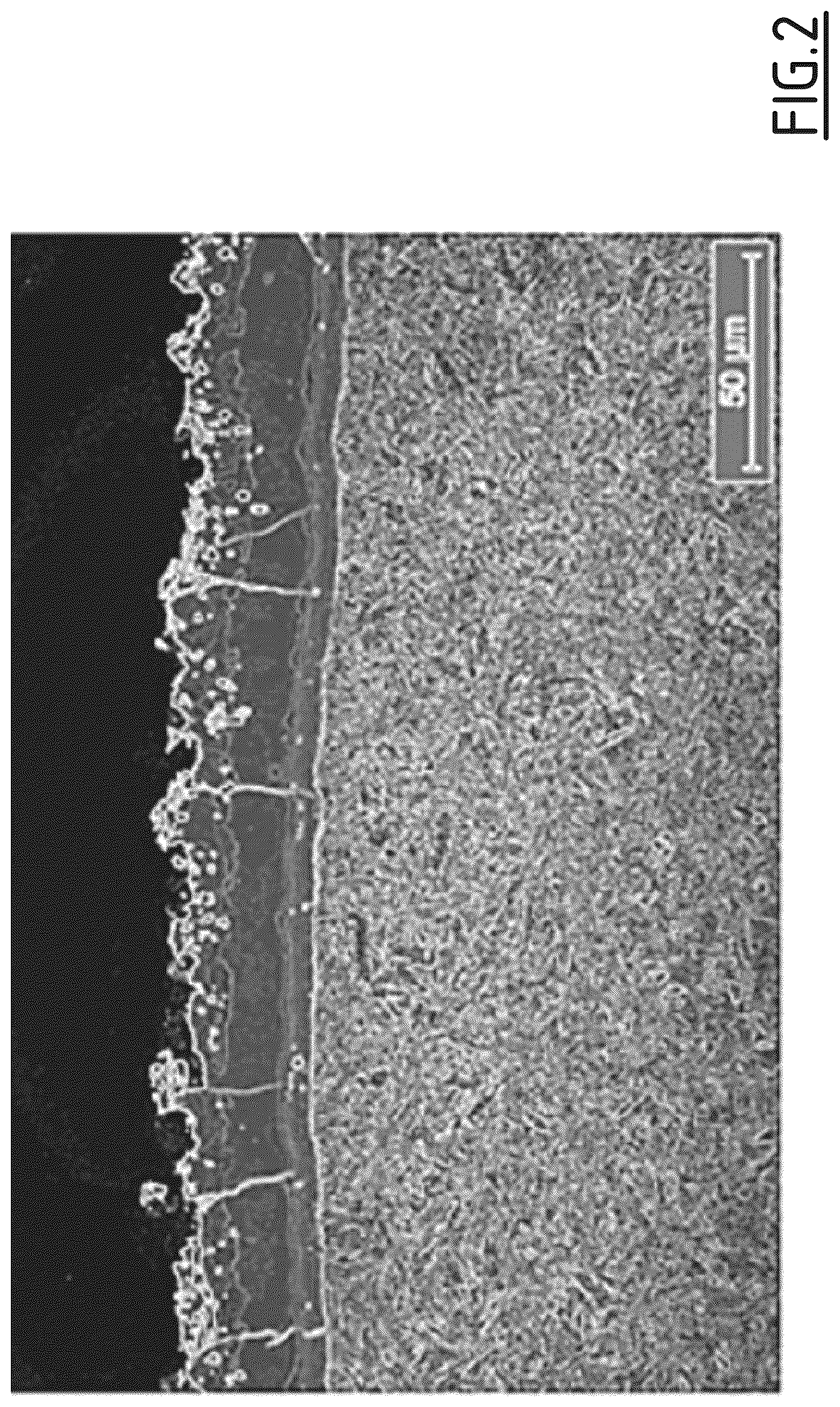 Patent US12460282 Figure 2 – Crack-containing hot-stamped coated steel part with excellent spot-weldability and excellent painting adhesion