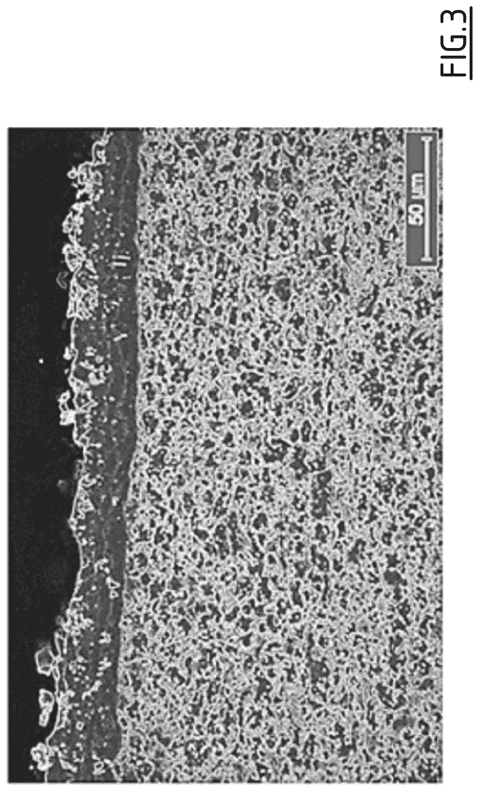 Patent US12460283 Figure 3 – Crack-containing hot-stamped coated steel part with excellent spot-weldability and excellent painting adhesion
