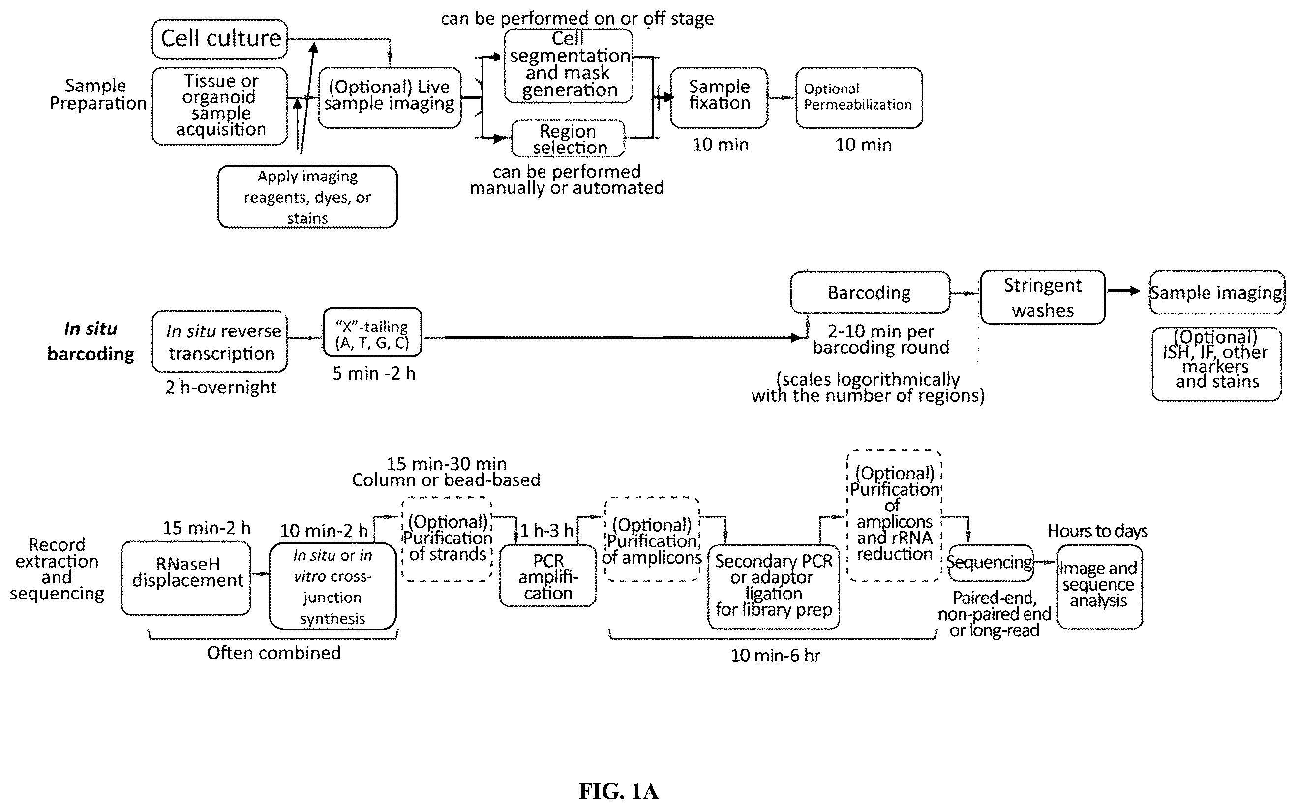 Patent US12460319 Figure 1 – Tissue spatial omics