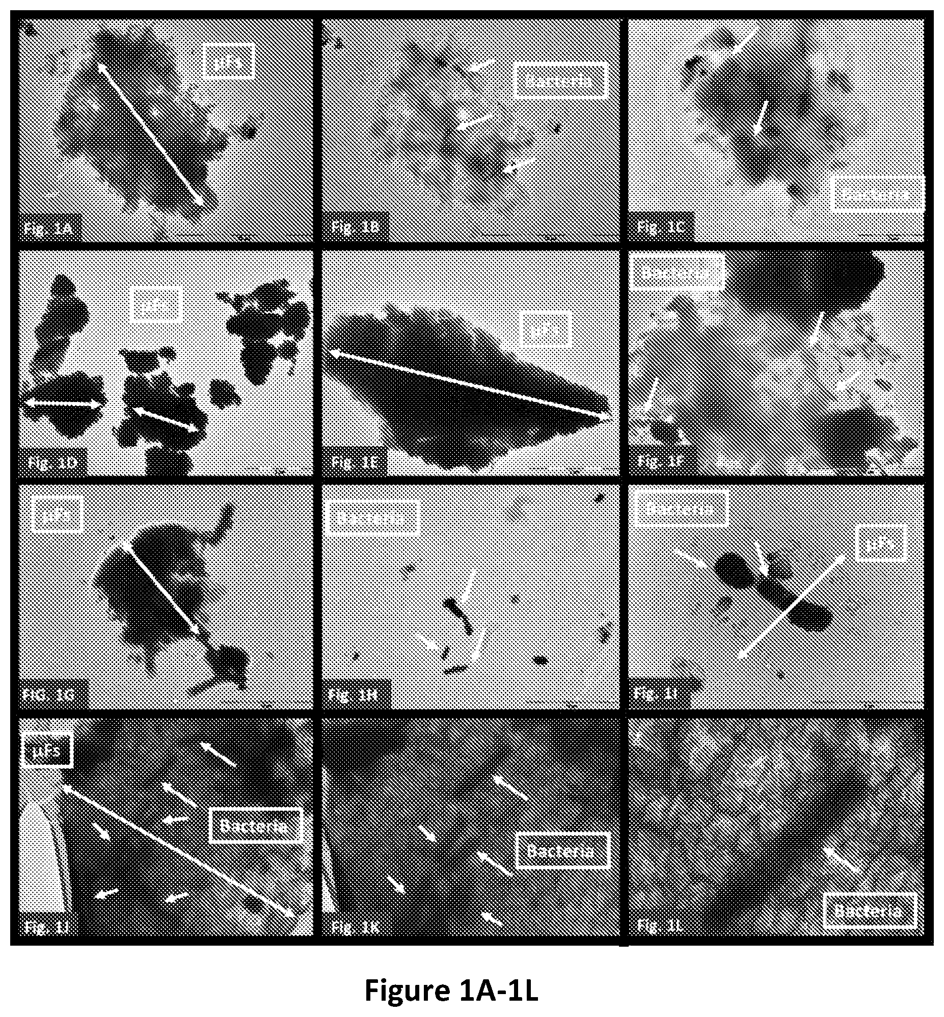 Patent US12460347 — Functional fibrous material comprising microbial flakes, methods of preparing and uses thereof — Figure 1