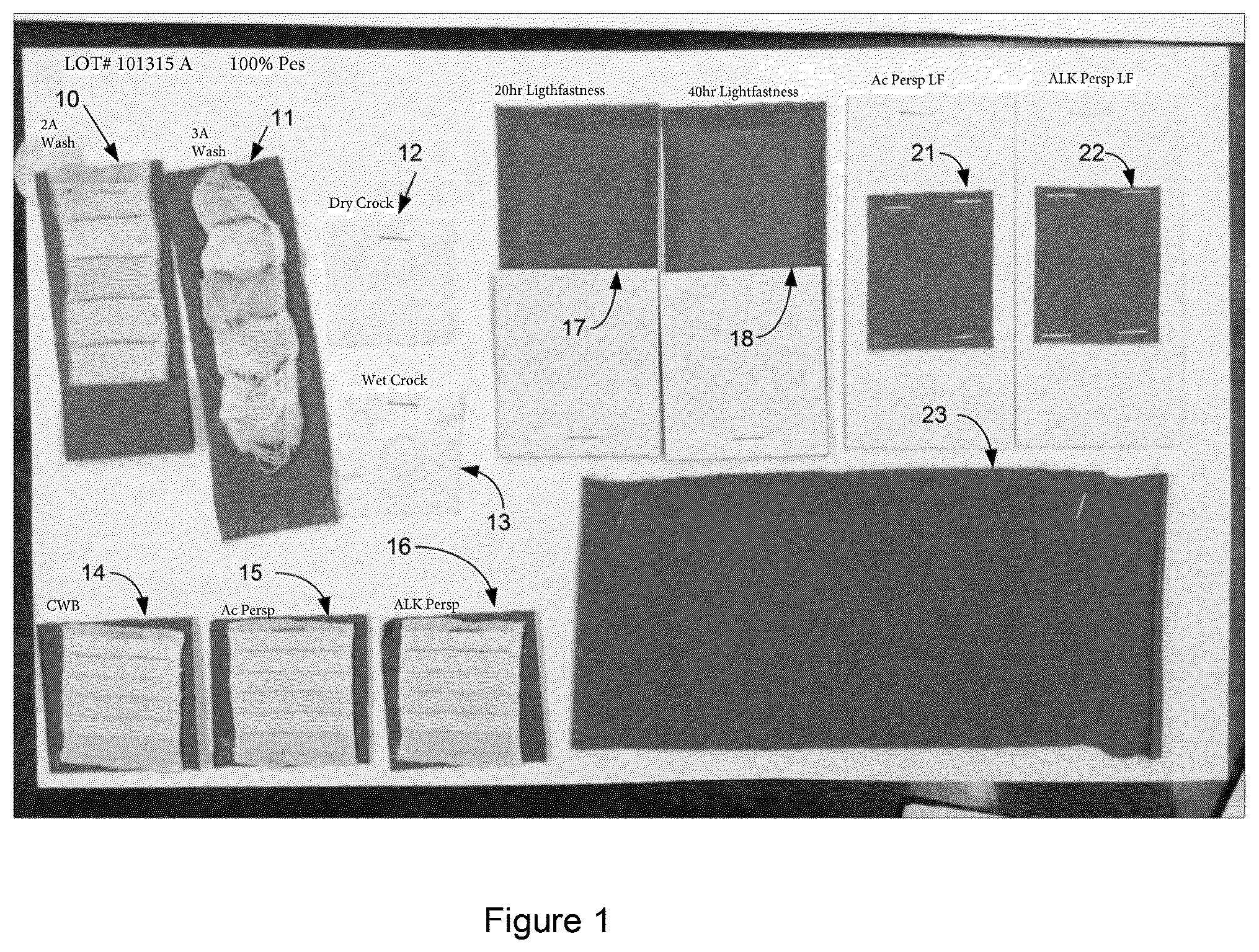 Patent US12460348 — Polyester composition with improved dyeing properties — Figure 1