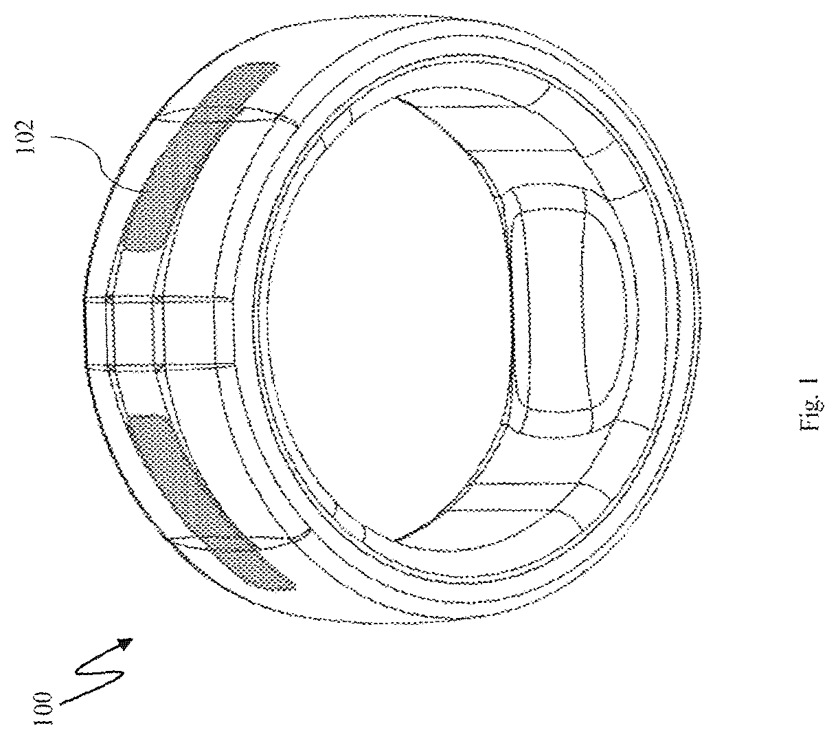 Patent US12460969 — Electronic ring for monitoring vitamin D levels — Figure 1