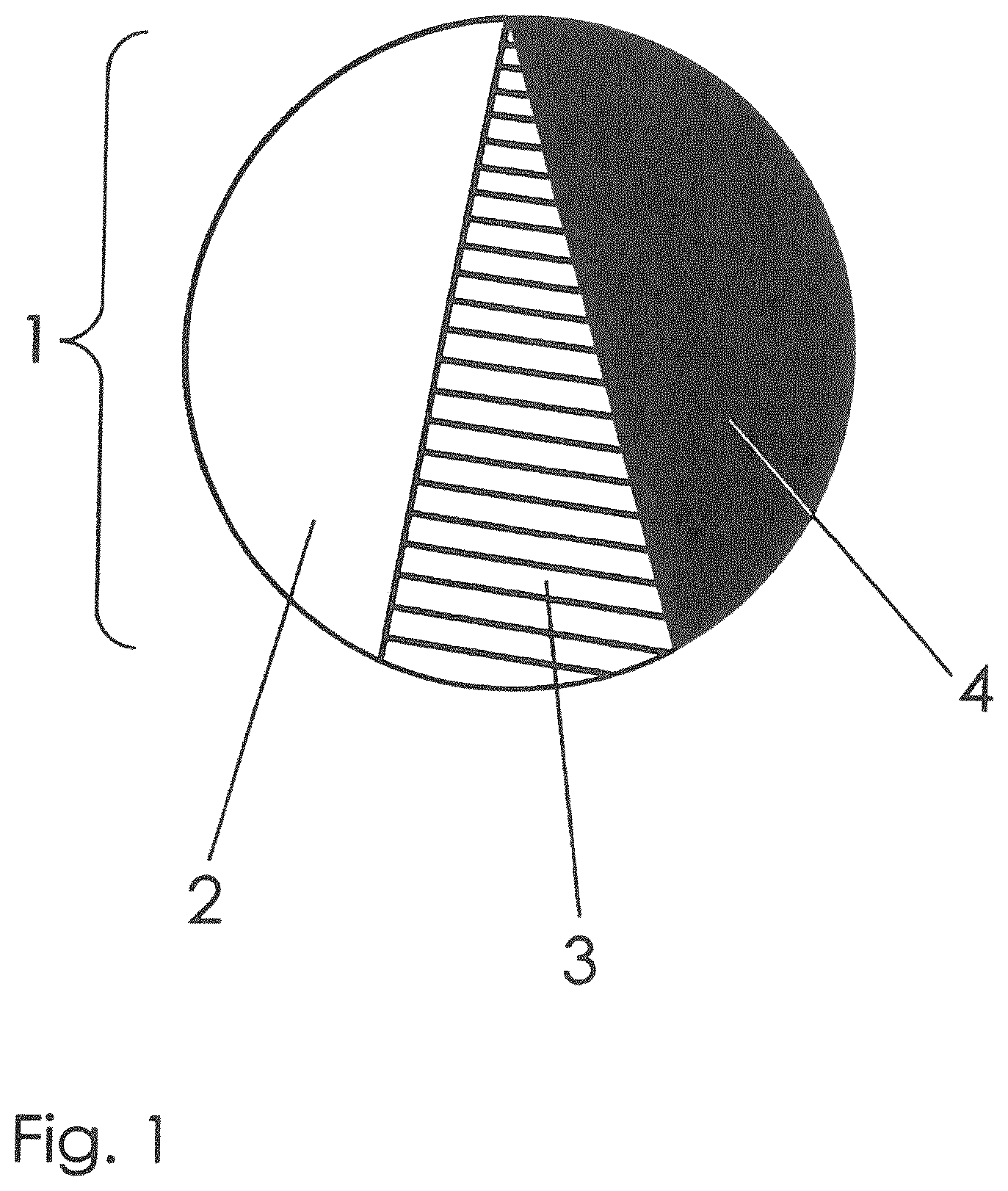 Patent US12472039 Figure 1 – Method and system for the digital acquisition of intraoral structure and color correction based on distance between reference template value and scanned value