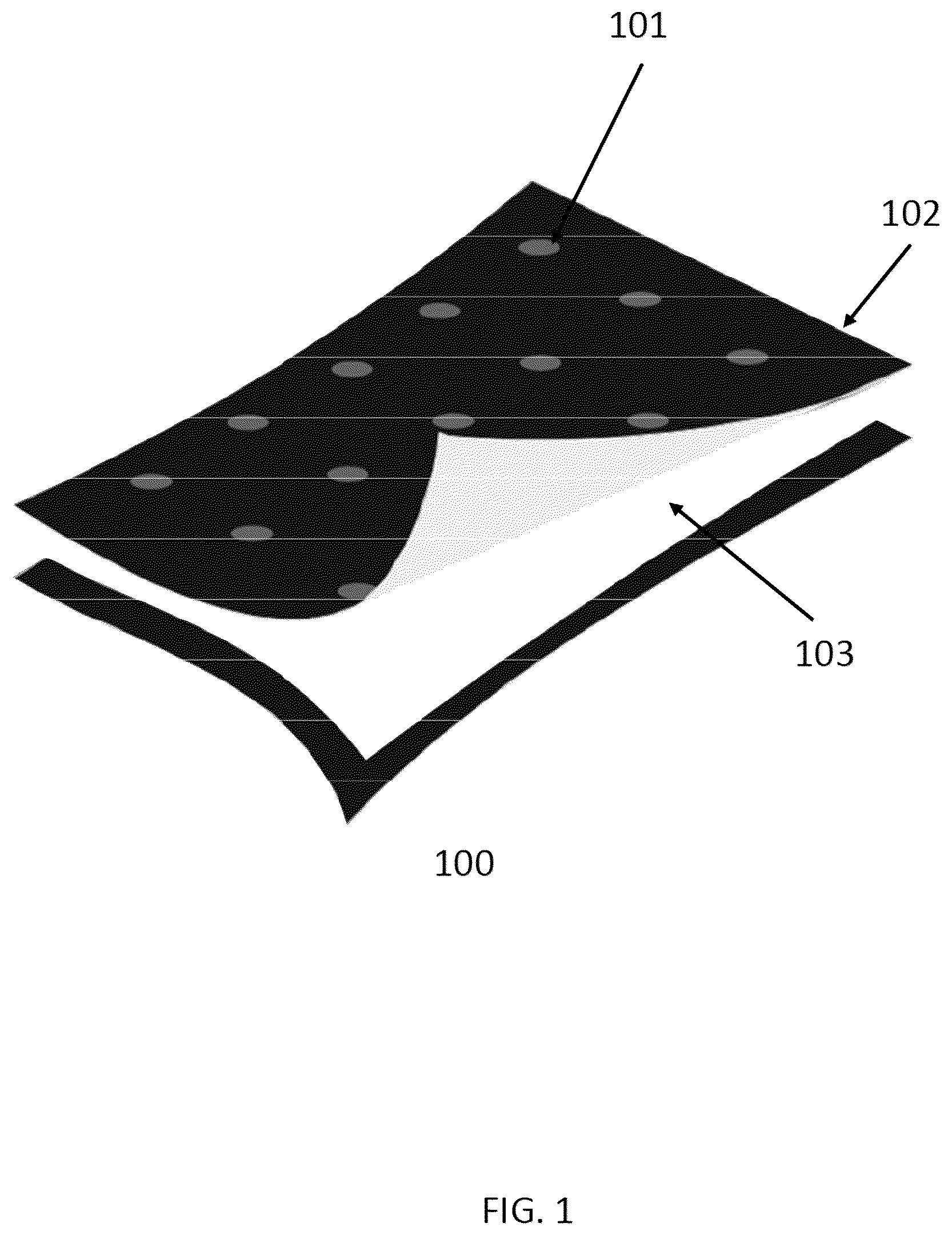 Patent US12472102 — Process for making antiinflammatory, antibacterial, antifungal and viricidal materials — Figure 1