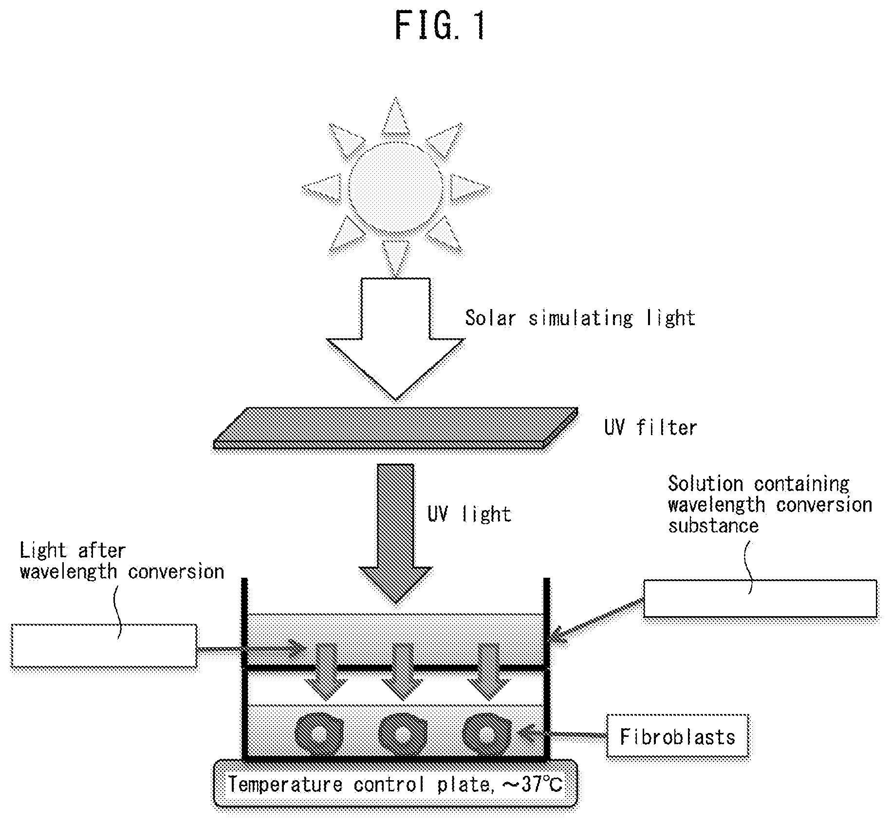 Patent US12472131 — Inflammation-suppressing agent — Figure 1