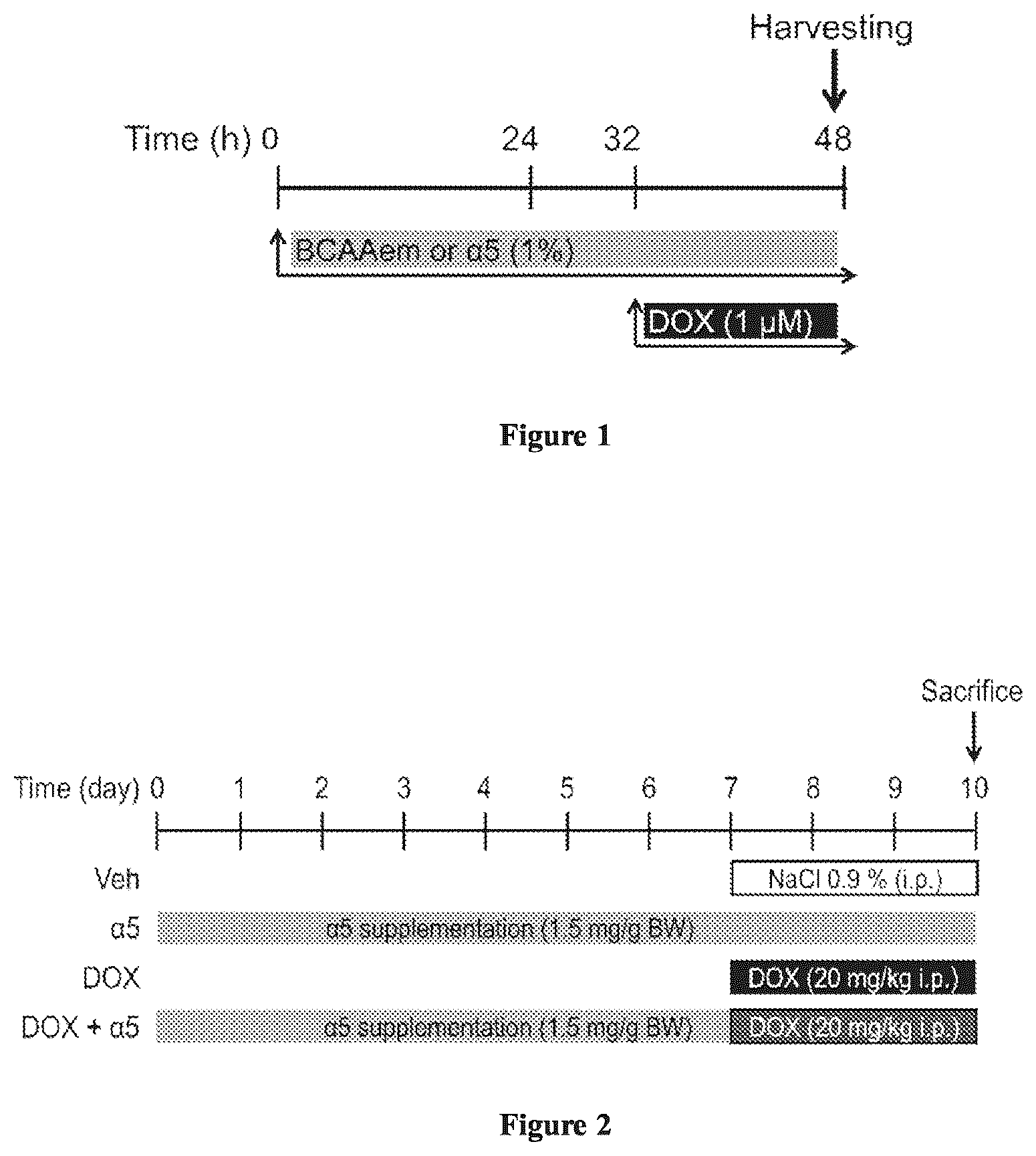 Patent US12472159 Figure 1 – Compositions comprising amino acids for use in the prevention and treatment of chemotherapy side effects
