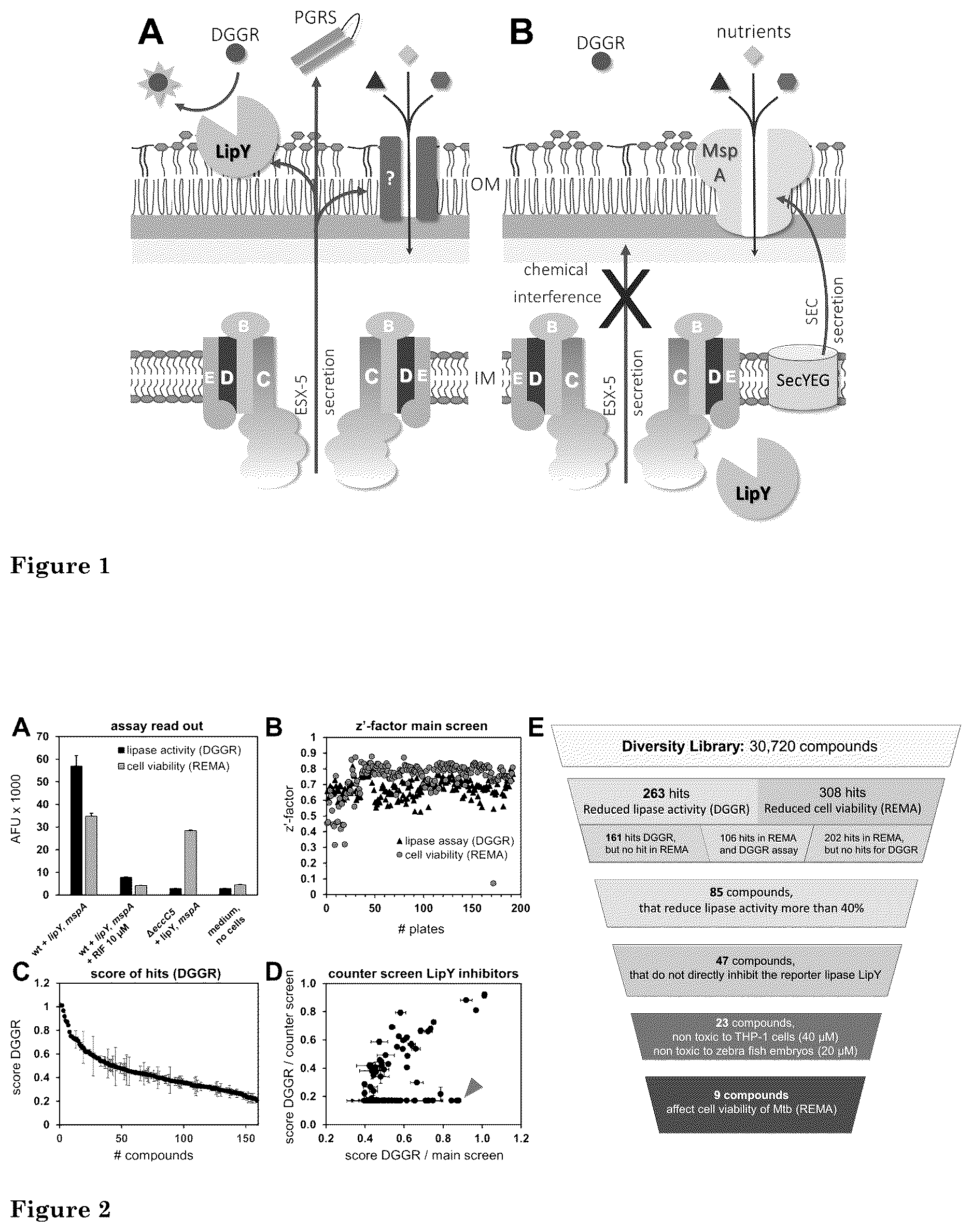 Patent US12472166 — Inhibition of mycobacterial type VII secretion — Figure 1