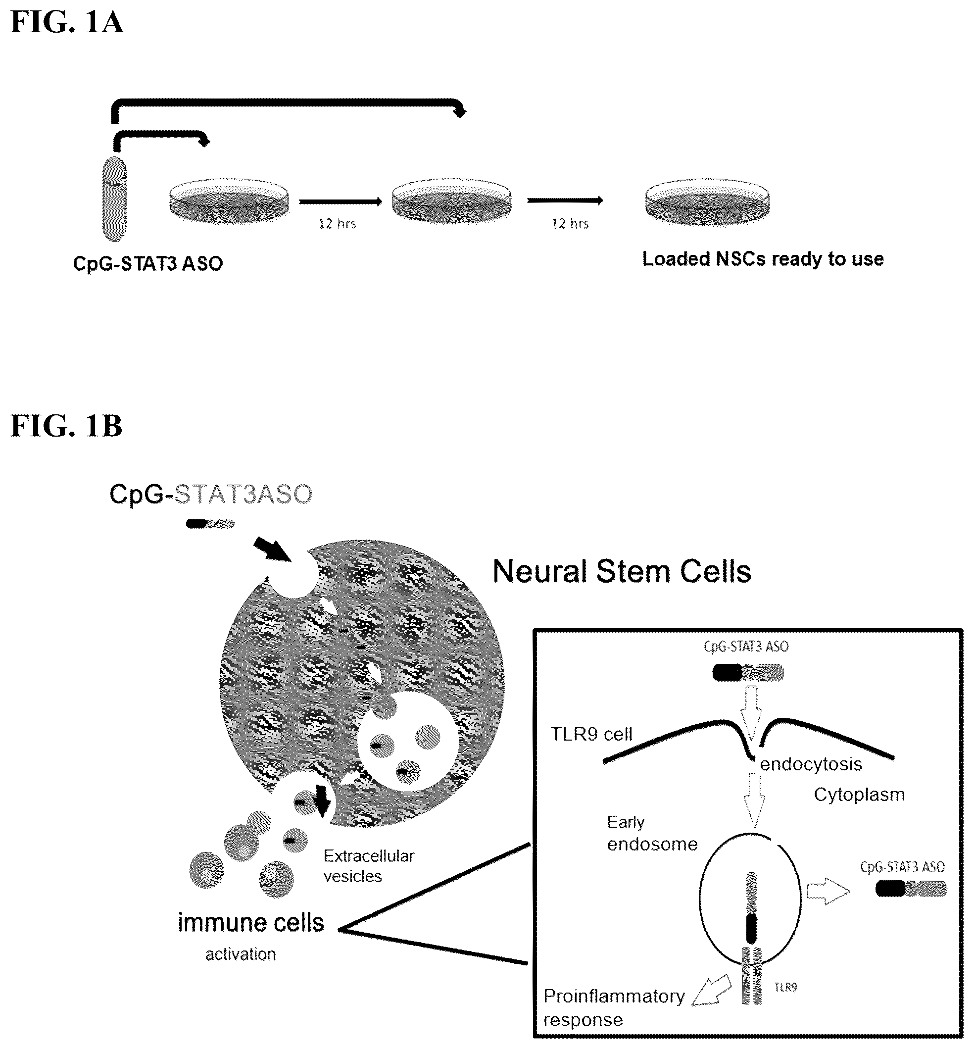 Patent US12472209 — Neural stem cell delivery of therapeutic agents — Figure 1