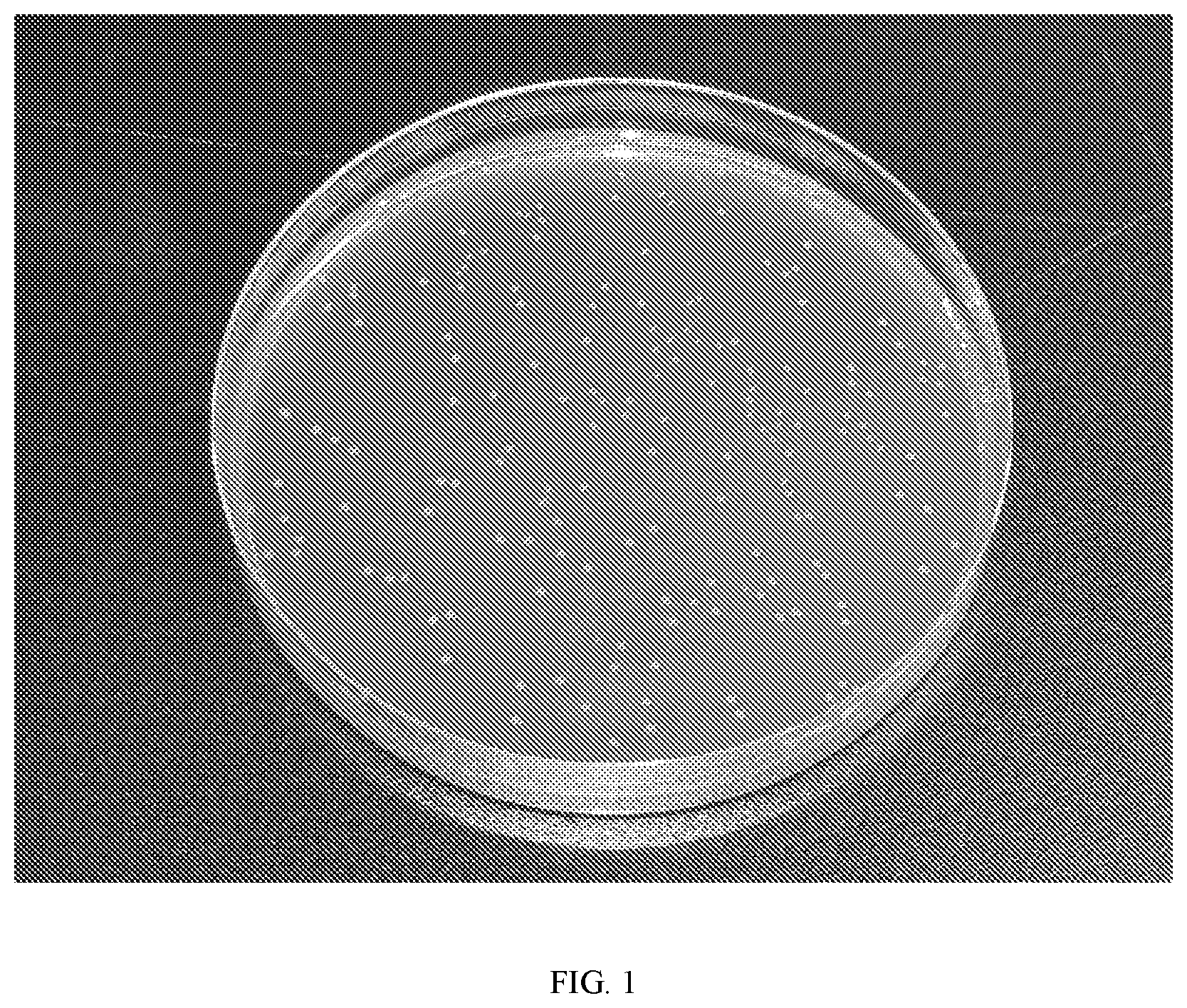 Patent US12472212 — Lactiplantibacillus plantarum GOLDGUT-LP618 having function of resisting salmonella infection and application thereof — Figure 1