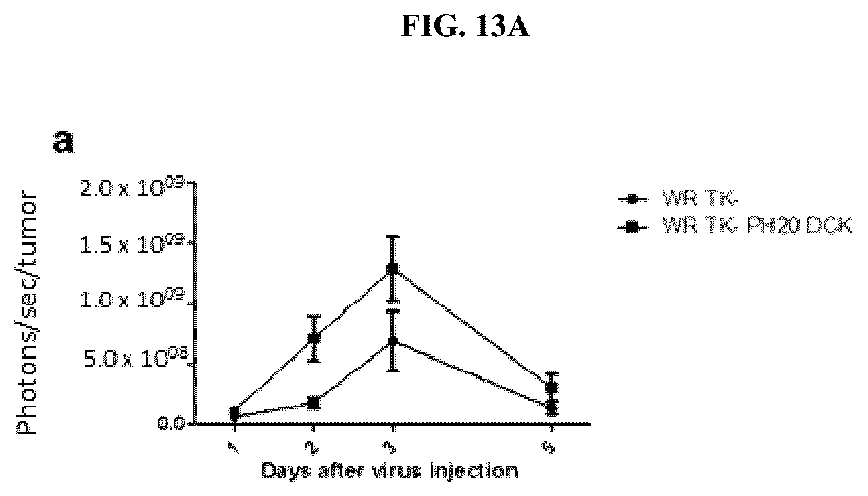 Patent US12472217 Figure 18 – Platform oncolytic vector for systemic delivery