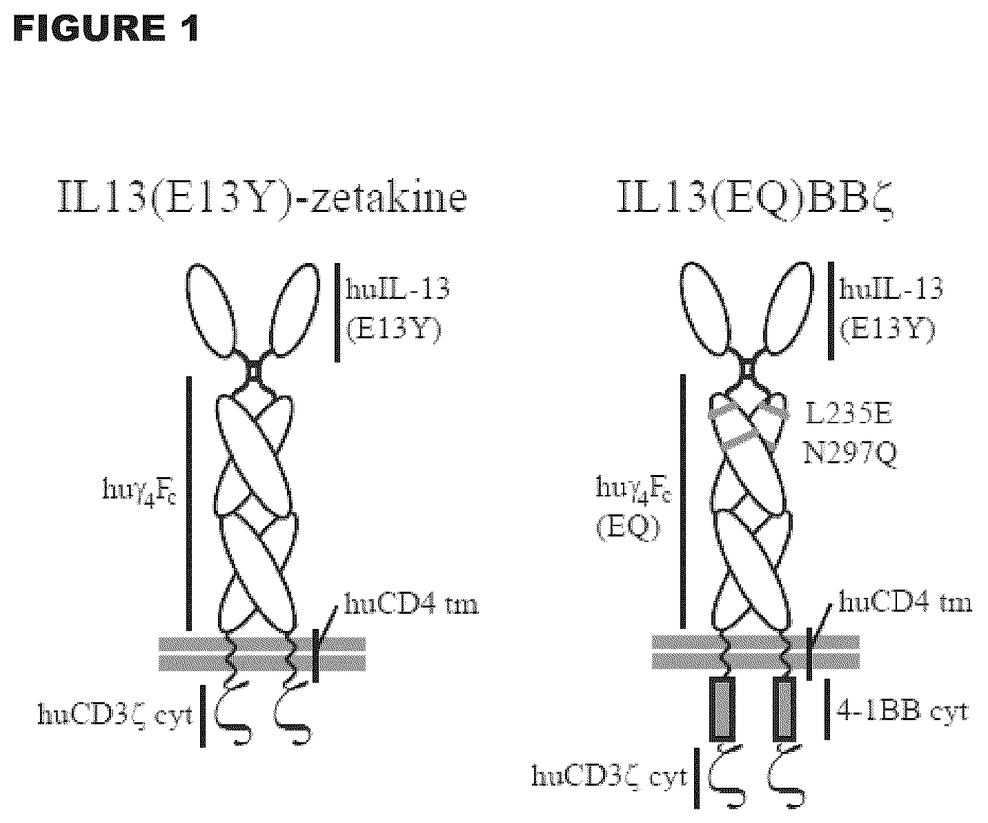 Patent US12472233 Figure 1 – Administration of engineered T cells for treatment of cancers in the central nervous system
