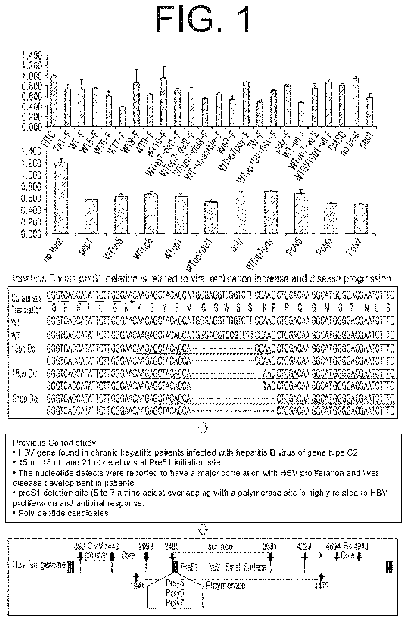 Patent US12472247 — Immune adjuvant comprising hepatitis B virus-derived polypeptide — Figure 1