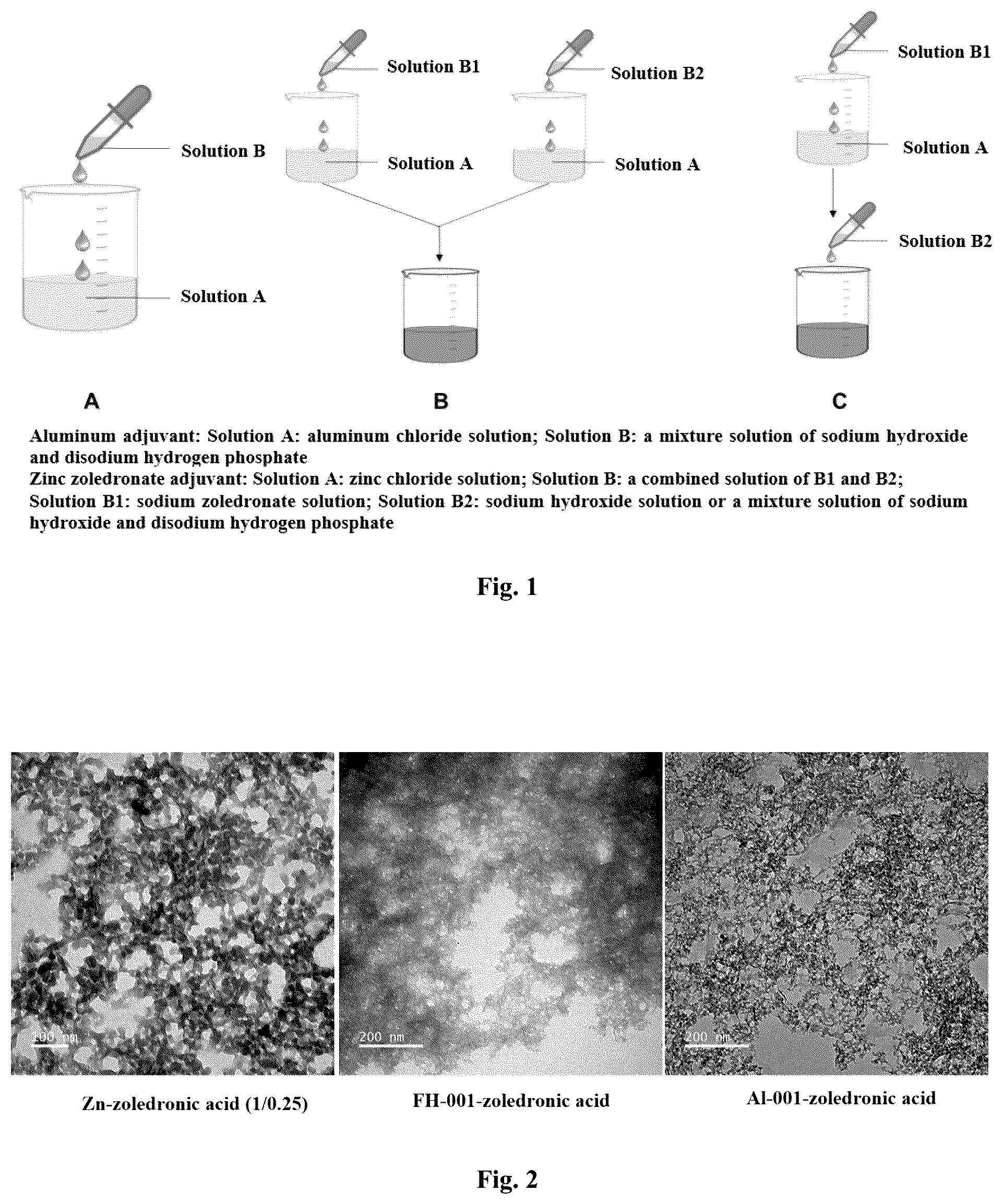 Patent US12472250 — Preparation of zinc zoledronate micro-nanoparticle adjuvant and use thereof as vaccine adjuvant — Figure 1