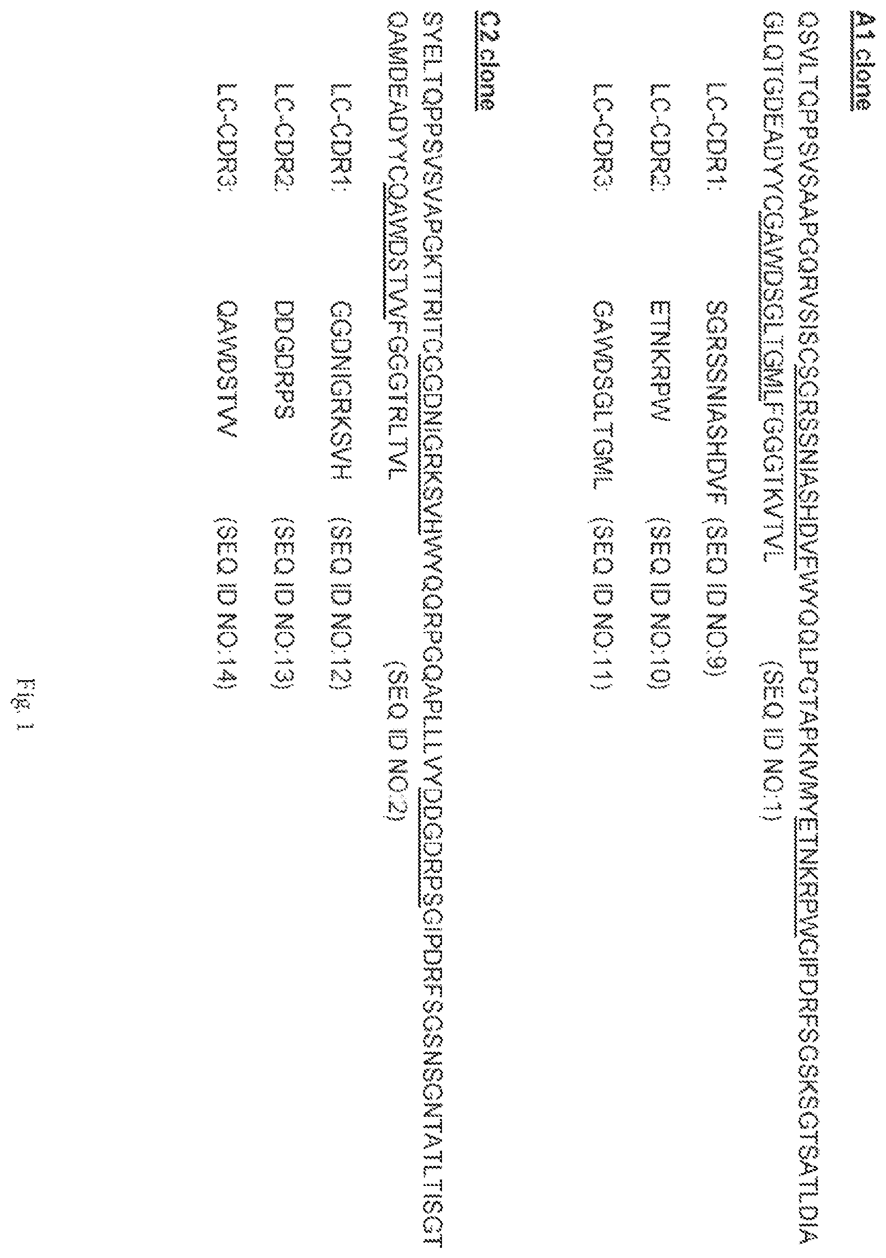 Patent US12472252 — Anti-PD-L1 antibodies — Figure 1