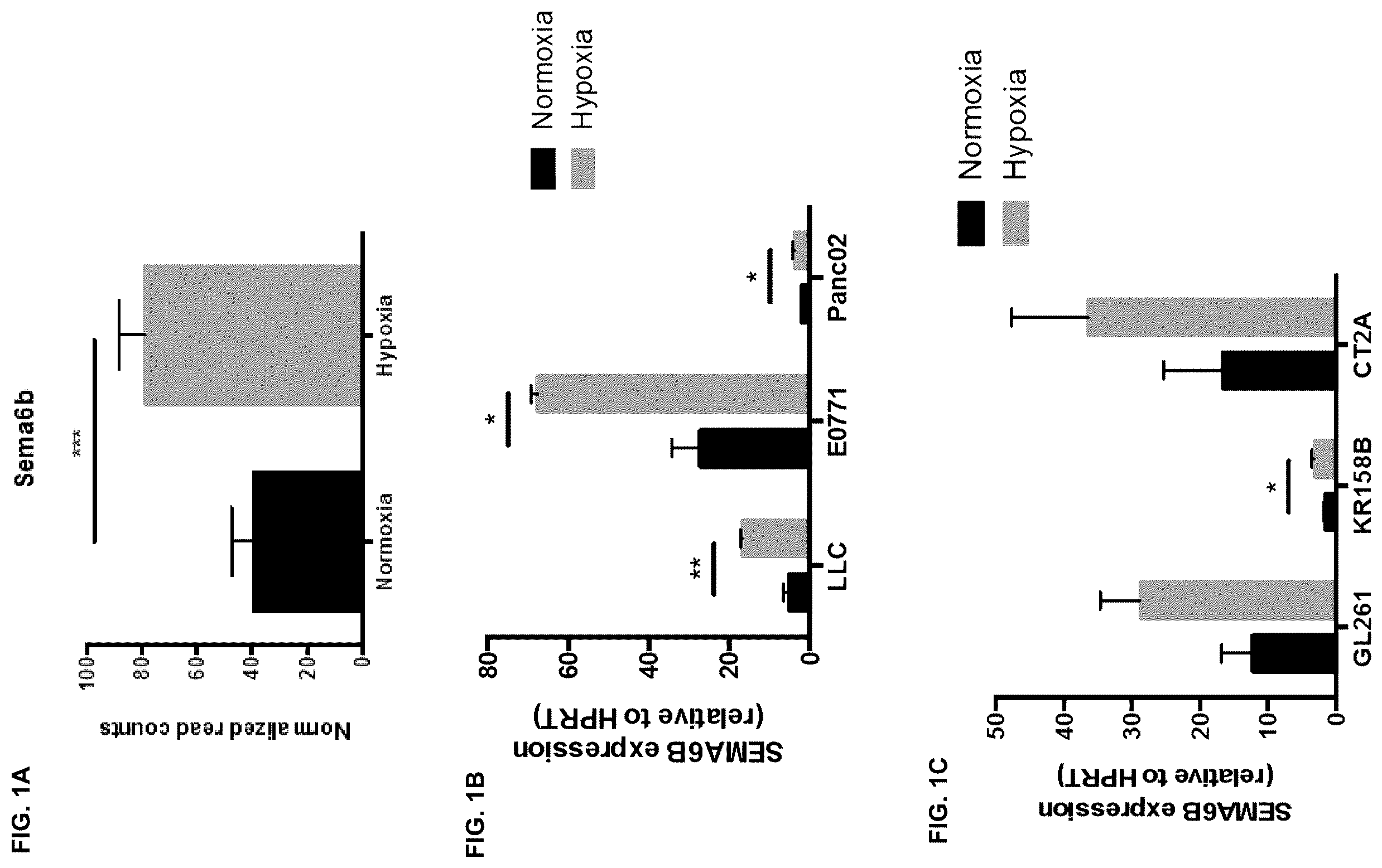 Patent US12472254 — CD8+ T-cells lacking plexins and their application in cancer treatment — Figure 1