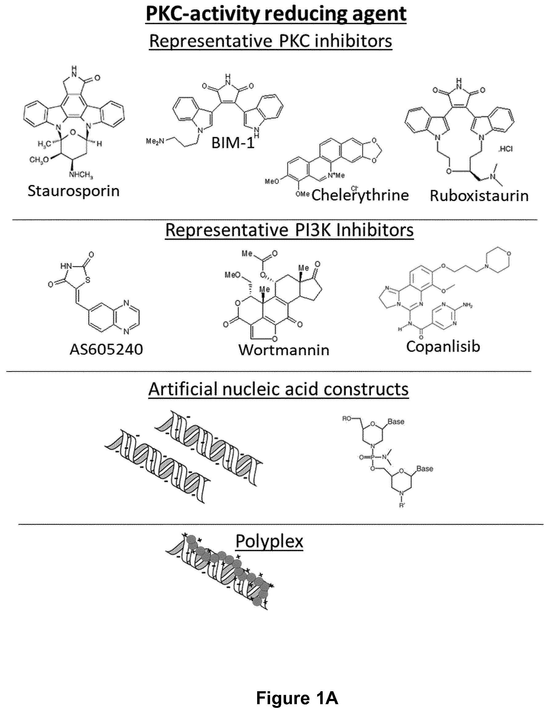Patent US12472259 Figure 1 – PKC inhibitors for the treatment of septic cholestasis with polymethine dye targeting