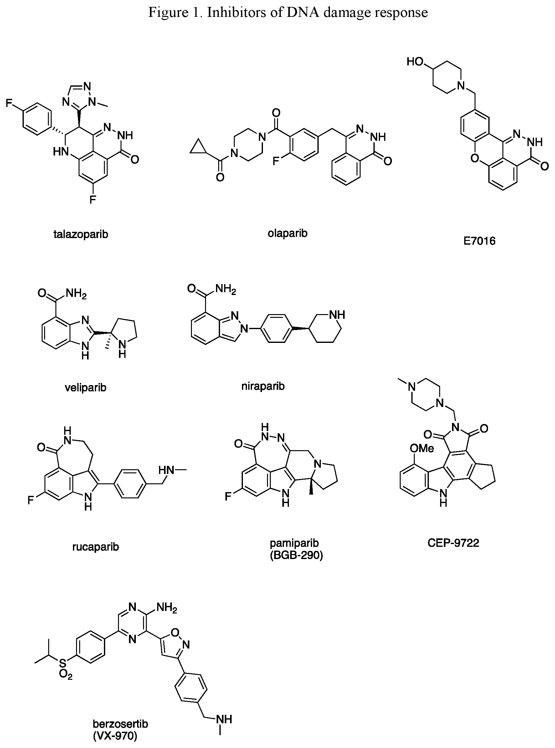 Patent US12472261 — Conjugated inhibitors of DNA damage response — Figure 1