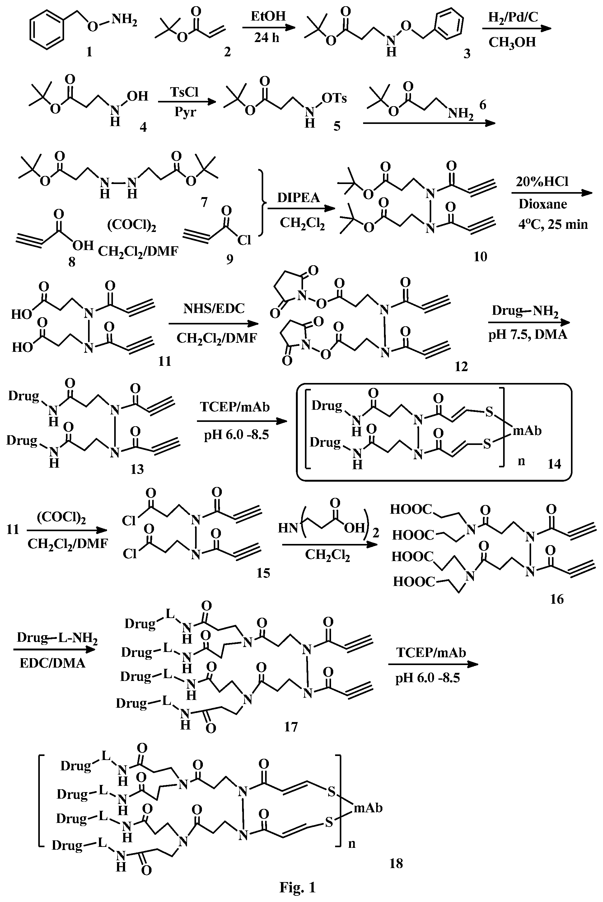 Patent US12472265 — Conjugation linkers, cell binding molecule-drug conjugates containing the linkers, methods of making and uses such conjugates with the linkers — Figure 1