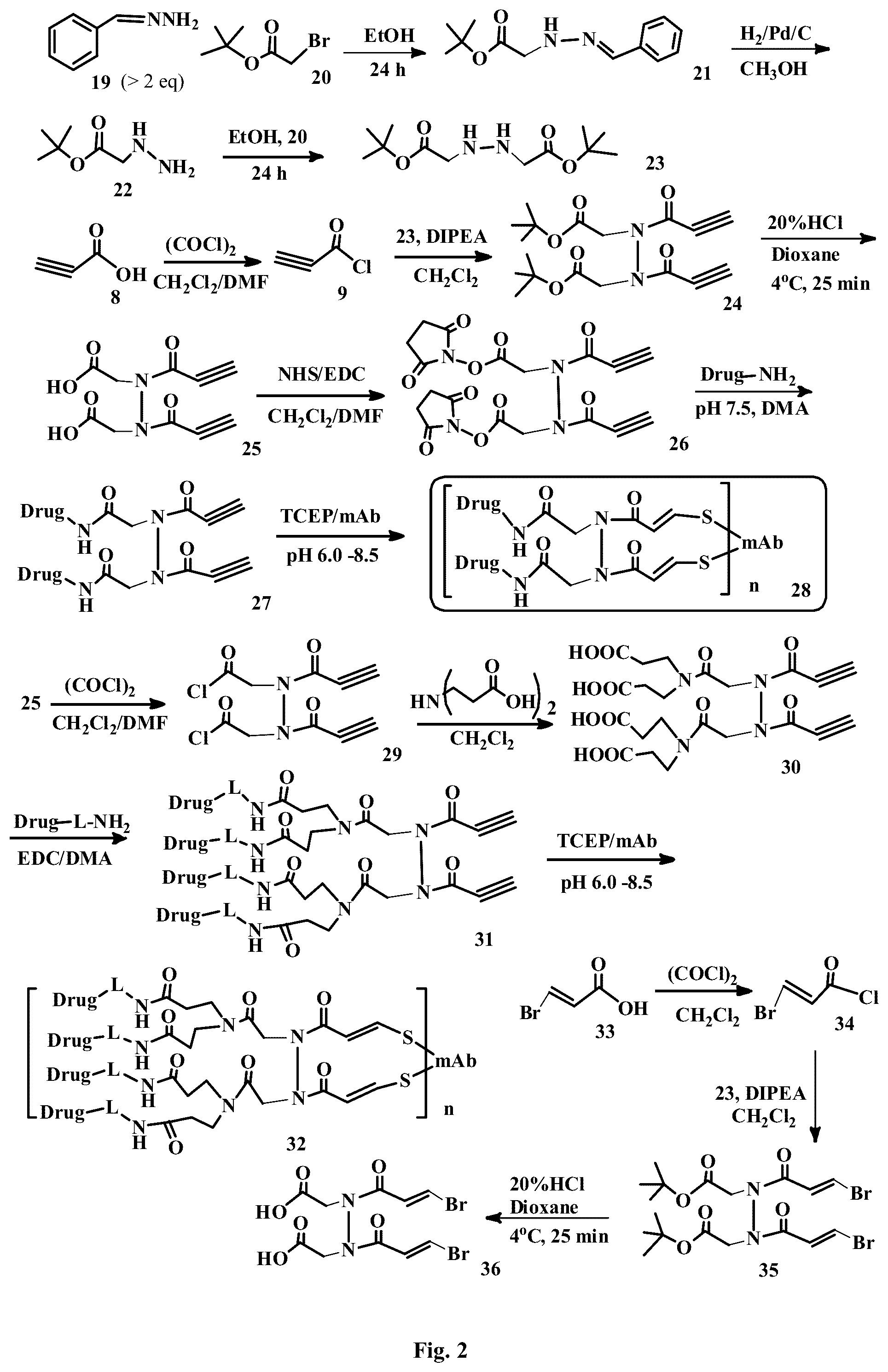 Patent US12472265 Figure 2 – Conjugation linkers, cell binding molecule-drug conjugates containing the linkers, methods of making and uses such conjugates with the linkers