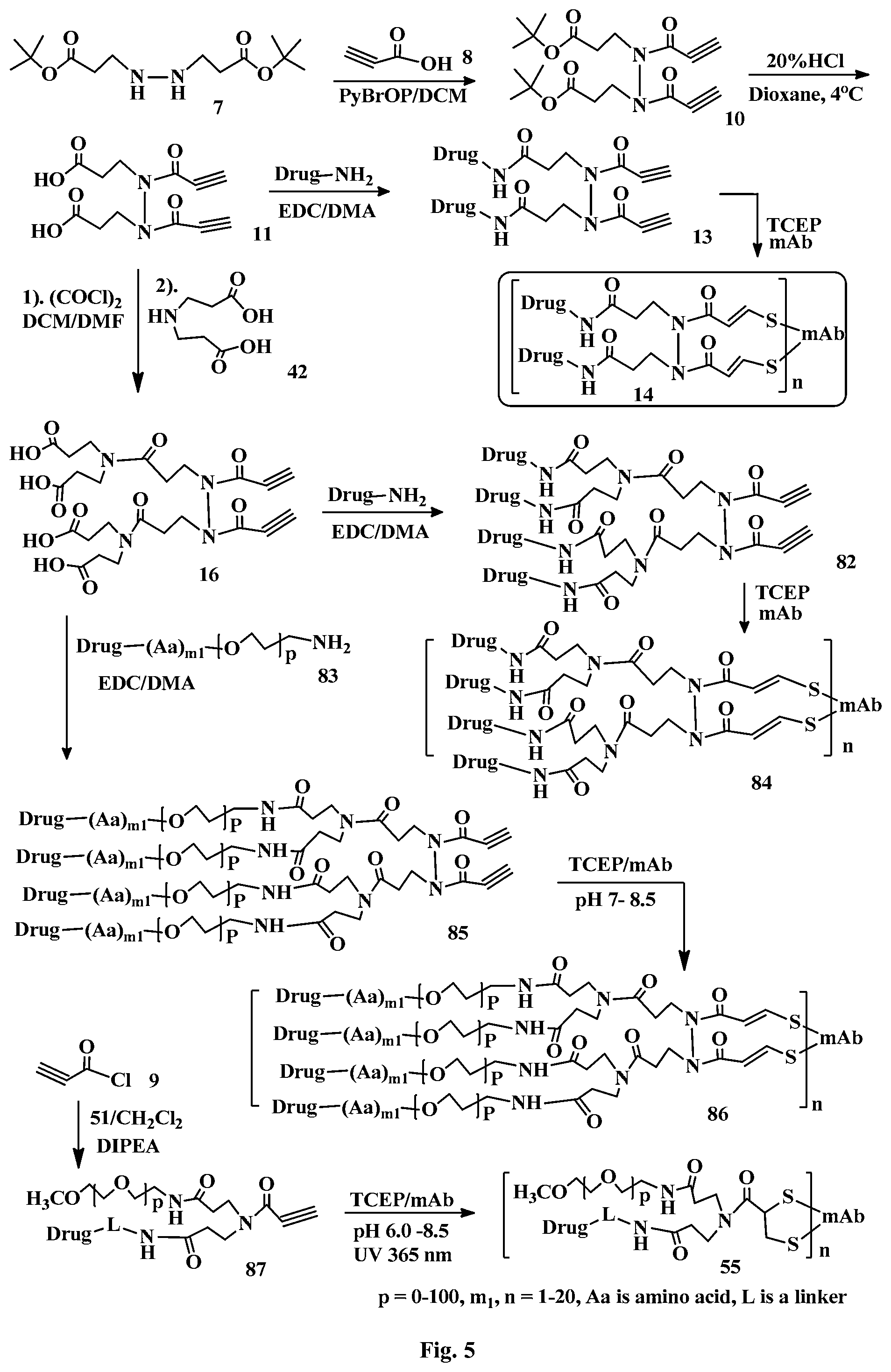 Patent US12472265 Figure 5 – Conjugation linkers, cell binding molecule-drug conjugates containing the linkers, methods of making and uses such conjugates with the linkers