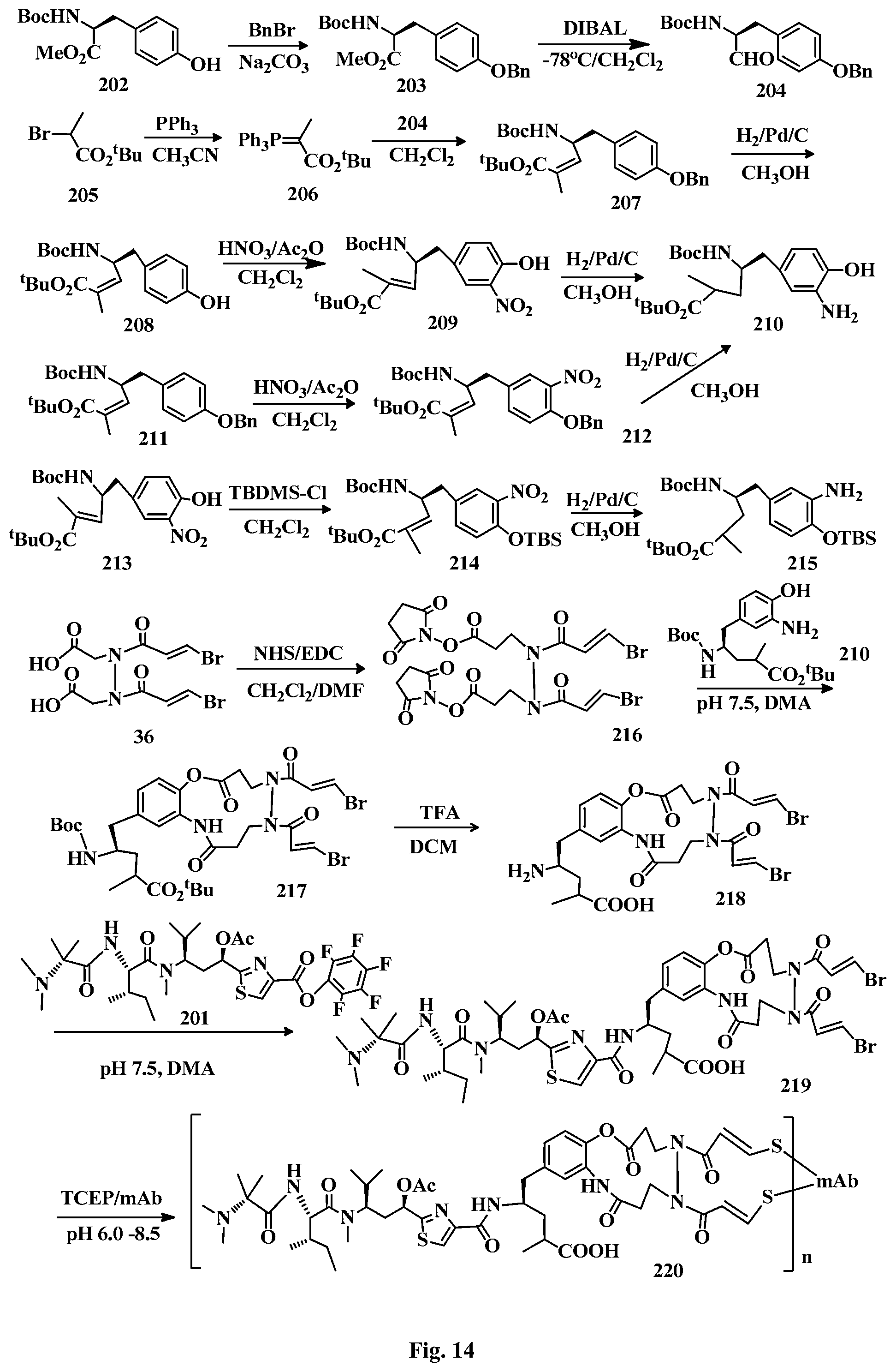 Patent US12472265 Figure 14 – Conjugation linkers, cell binding molecule-drug conjugates containing the linkers, methods of making and uses such conjugates with the linkers