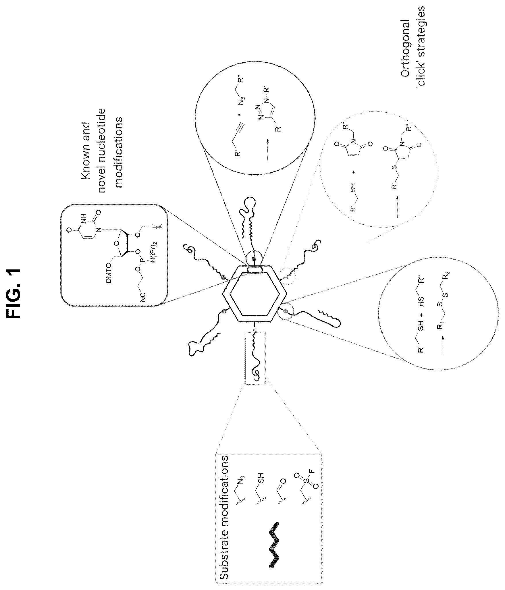Patent US12472267 — Compositions containing nucleic acid nanoparticles with modular functionality — Figure 1